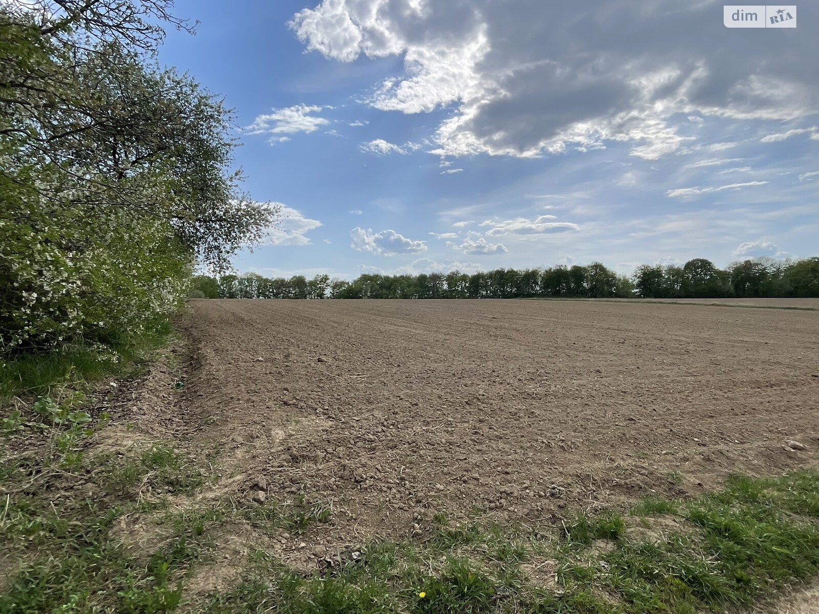 Земельна ділянка під житлову забудову в Парпурівцях, площа 33.6 сотки фото 1 Земельна ділянка під житлову забудову в Парпурівцях, площа 33.6 сотки фото 1