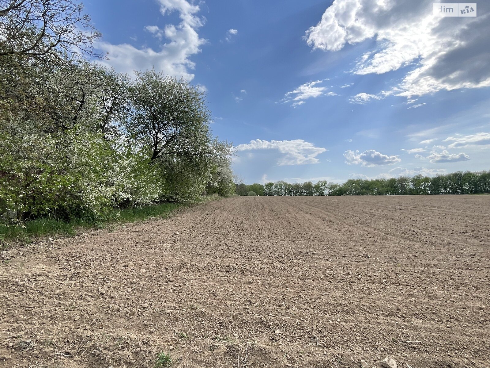Земельна ділянка під житлову забудову в Парпурівцях, площа 33.6 сотки фото 1 Земельна ділянка під житлову забудову в Парпурівцях, площа 33.6 сотки фото 1