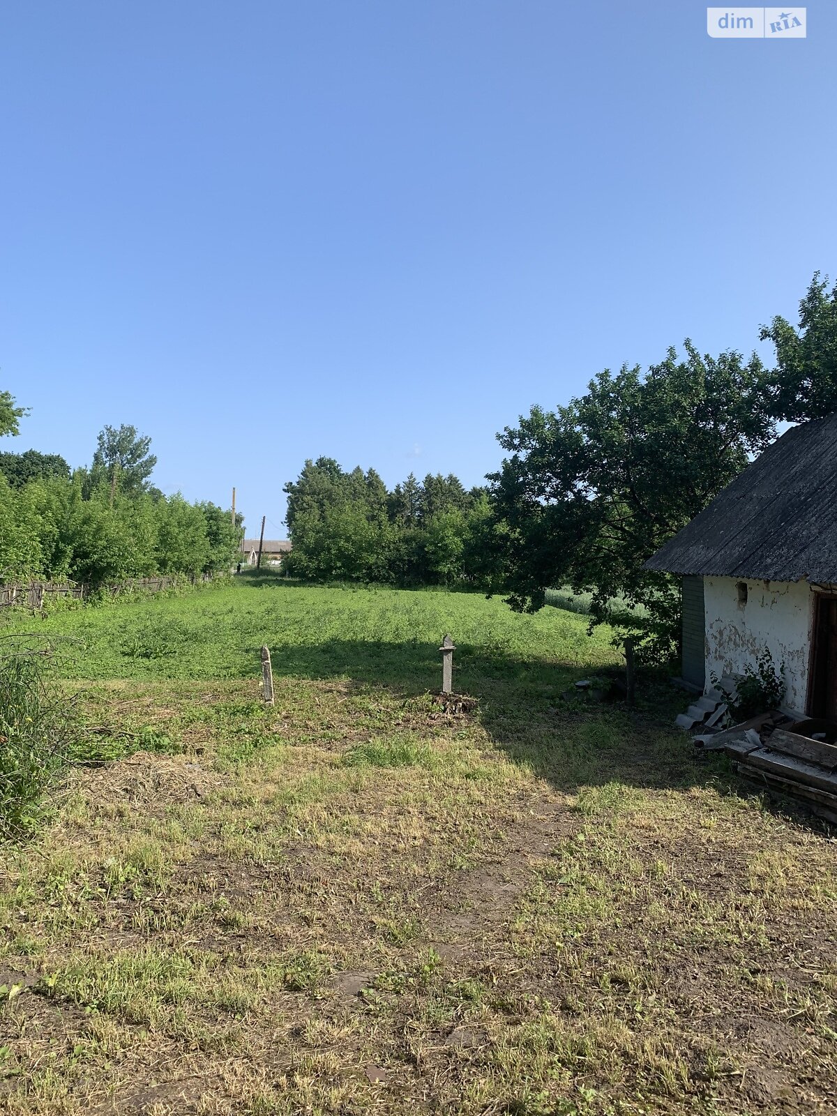 Земельна ділянка під житлову забудову в Пасічній, площа 21 сотка фото 1 Земельна ділянка під житлову забудову в Пасічній, площа 21 сотка фото 1