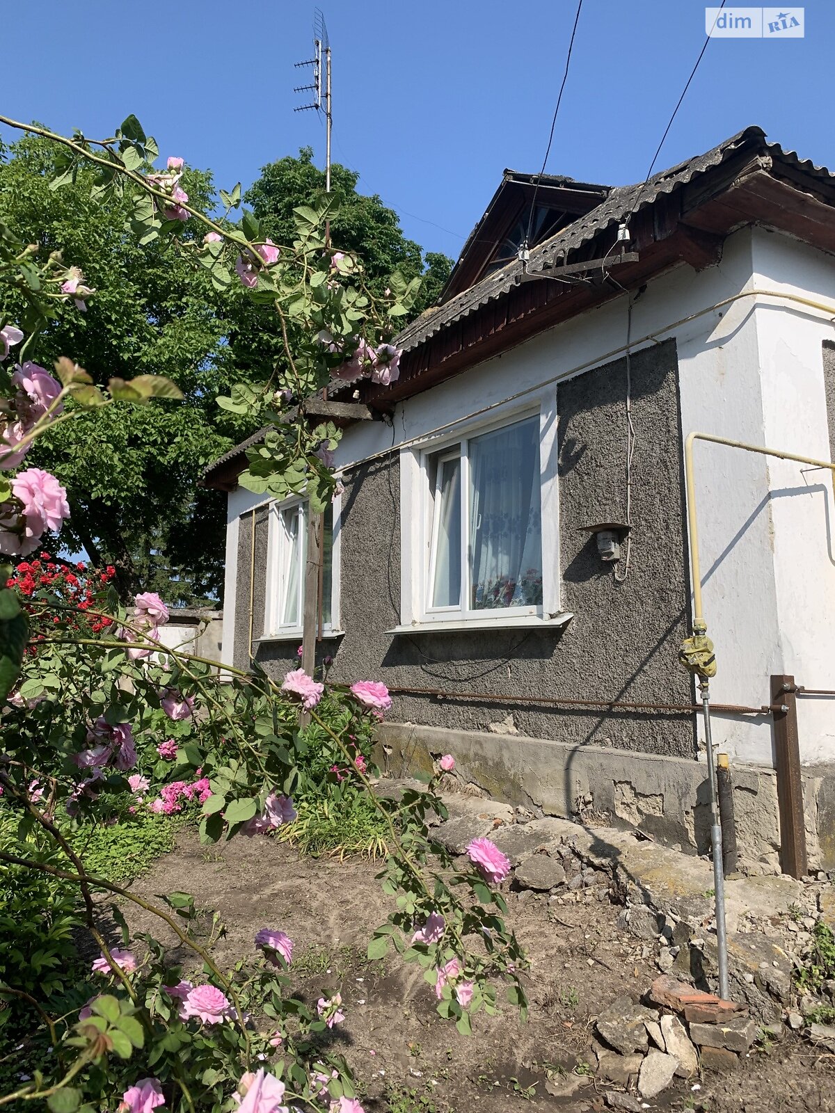 Земельна ділянка під житлову забудову в Пасічній, площа 21 сотка фото 1 Земельна ділянка під житлову забудову в Пасічній, площа 21 сотка фото 1