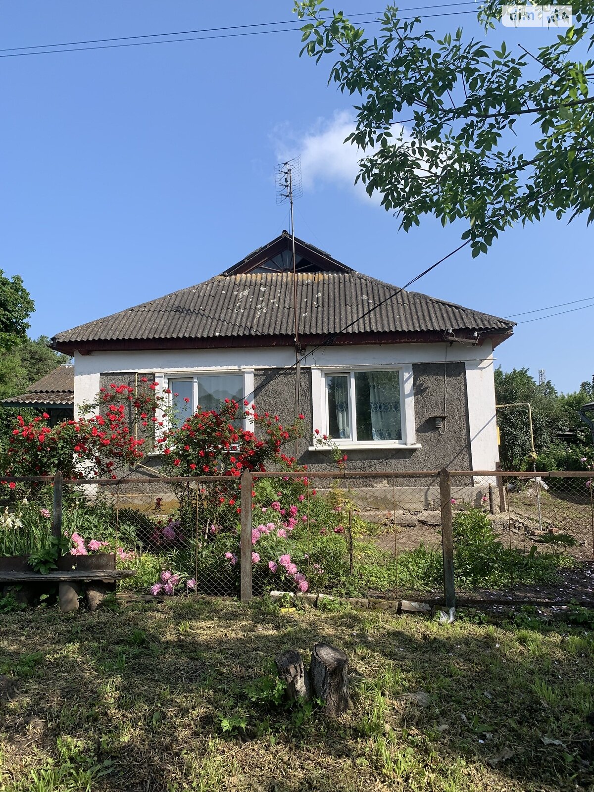 Земельна ділянка під житлову забудову в Пасічній, площа 21 сотка фото 1 Земельна ділянка під житлову забудову в Пасічній, площа 21 сотка фото 1