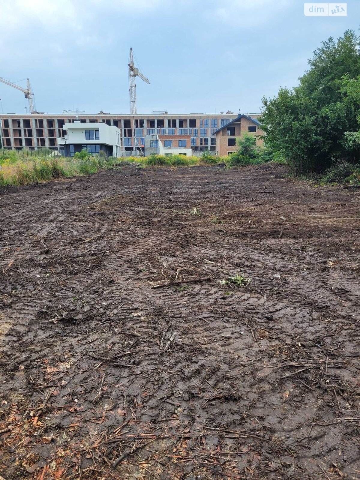 Земельна ділянка під житлову забудову в Пасіки-Зубрицькі, площа 10 соток фото 1