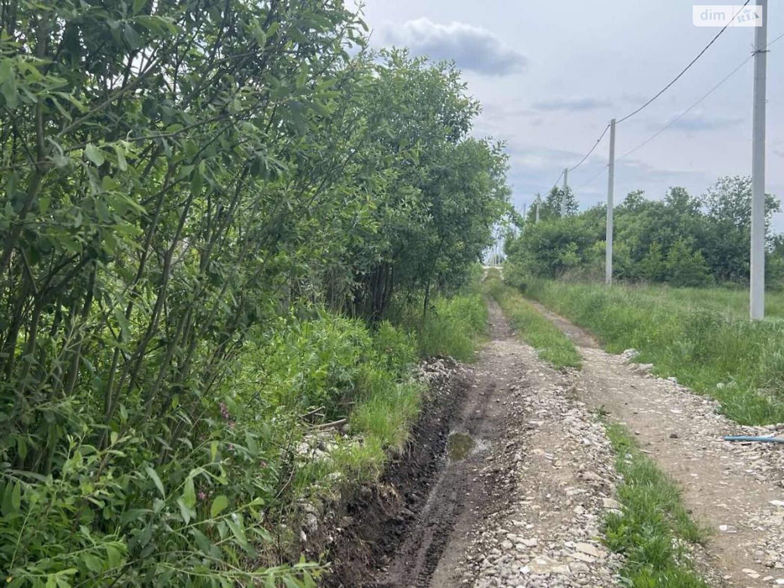 Земельный участок под жилую застройку в Пасеки-Зубрицкие, площадь 10 соток фото 1