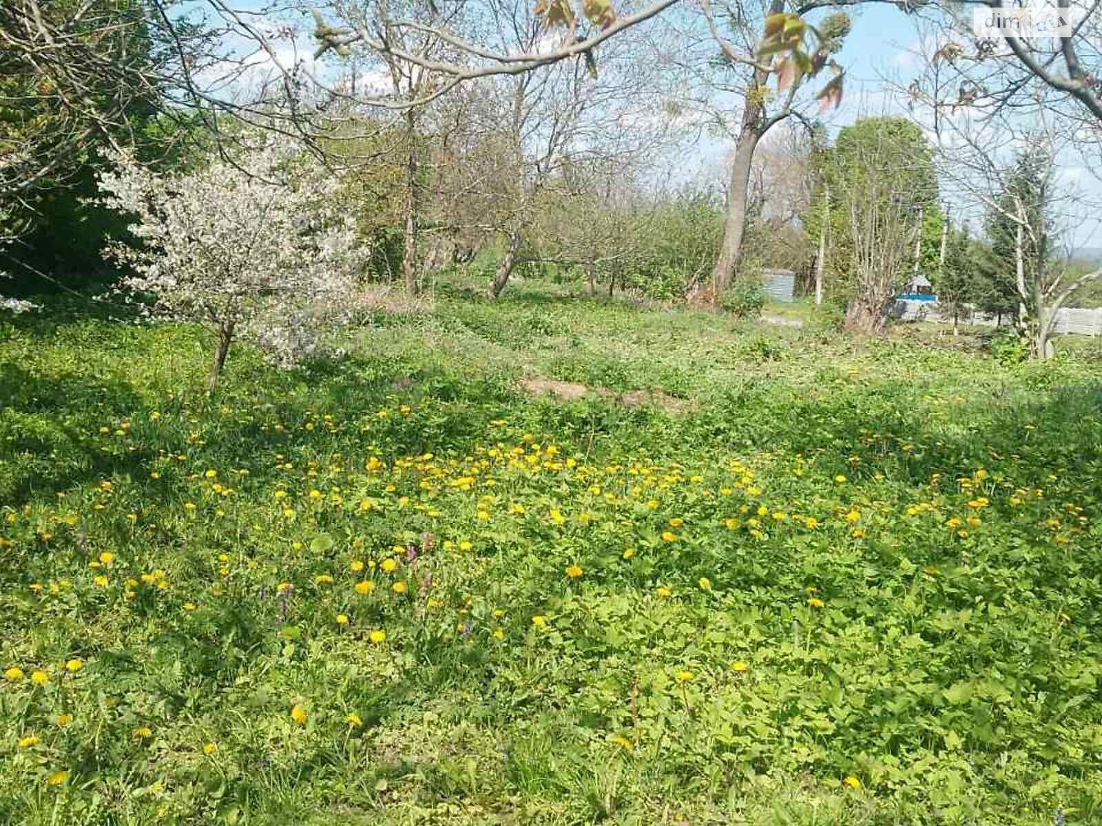 Земельна ділянка під житлову забудову в Пашківцях, площа 20 соток фото 1