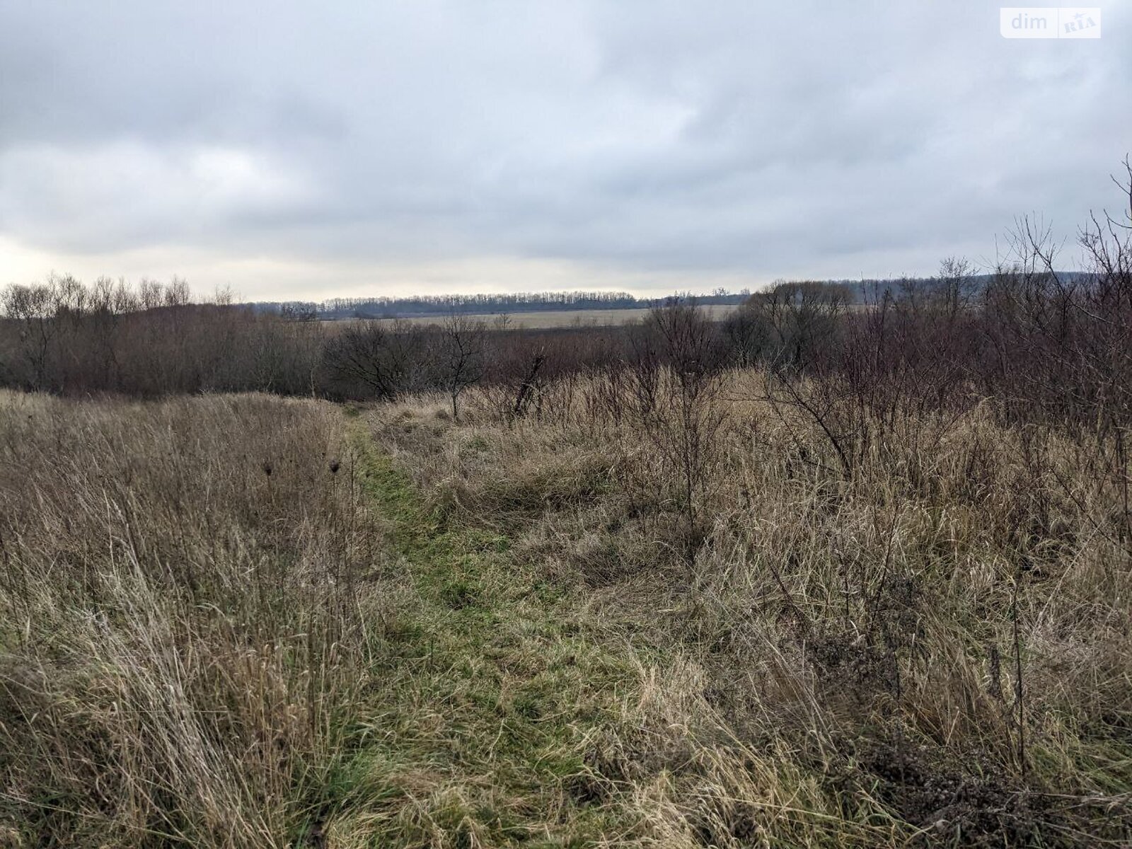 Земельный участок под жилую застройку в Павловке, площадь 15.7 сотки фото 1