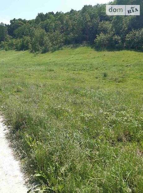 Земля под жилую застройку в селе Бобрка, площадь 12 соток фото 1 Земля под жилую застройку в селе Бобрка, площадь 12 соток фото 1