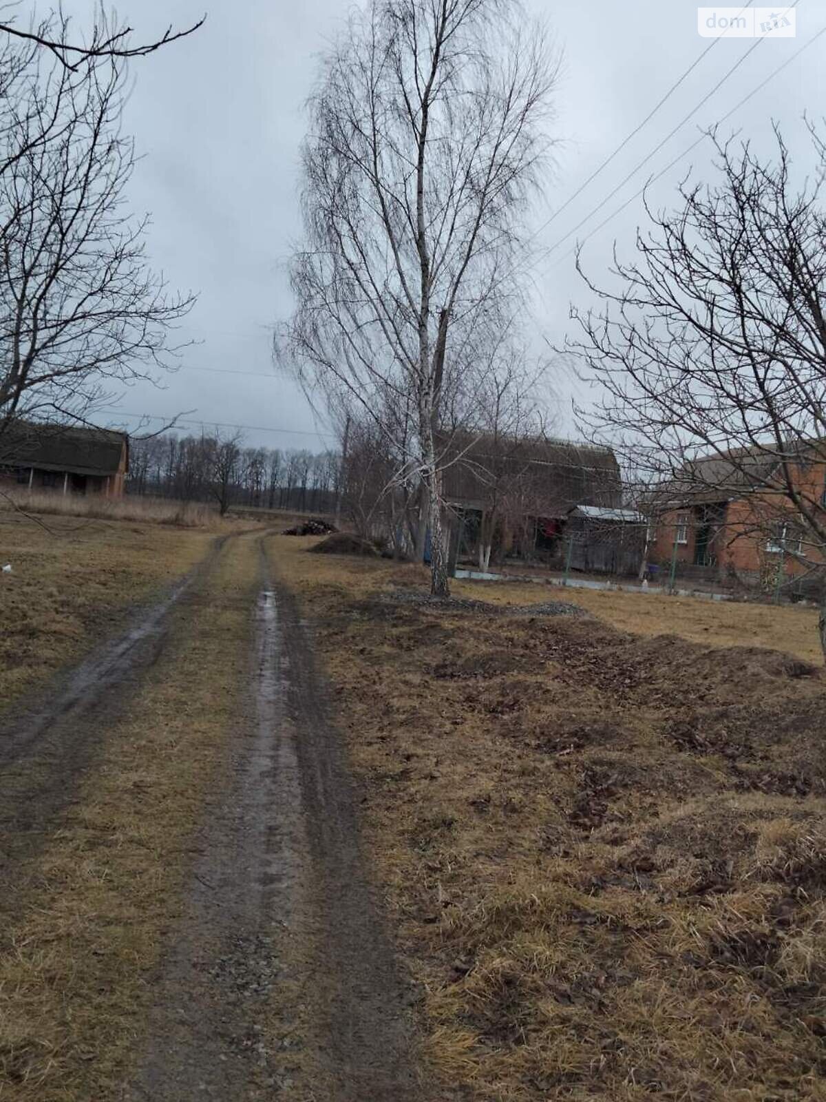 Земельна ділянка під житлову забудову в Переорках, площа 24.3 сотки фото 1 Земельна ділянка під житлову забудову в Переорках, площа 24.3 сотки фото 1