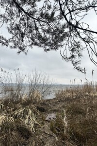 Земля під житлову забудову в Переяславі-Хмельницькому, площа 6 соток фото 2