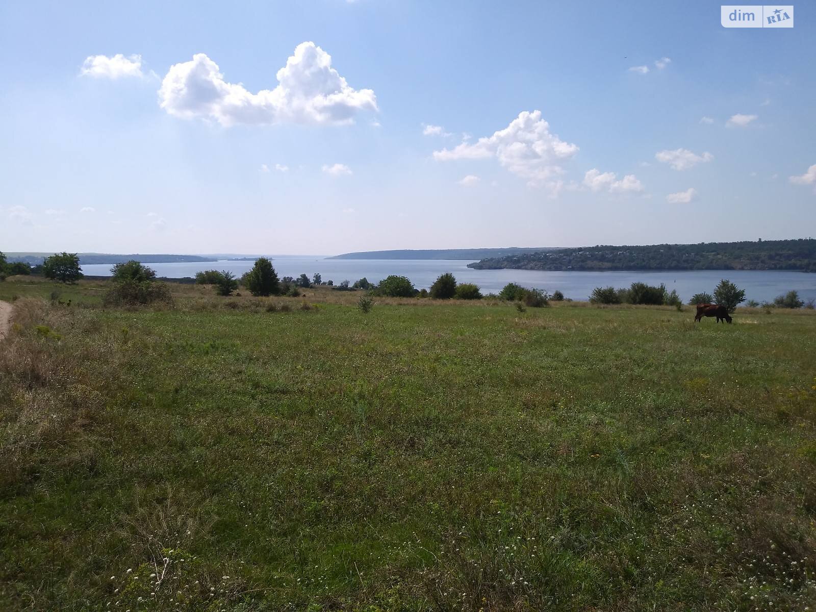 Земельна ділянка під житлову забудову в Перше Травня, площа 12 соток фото 1