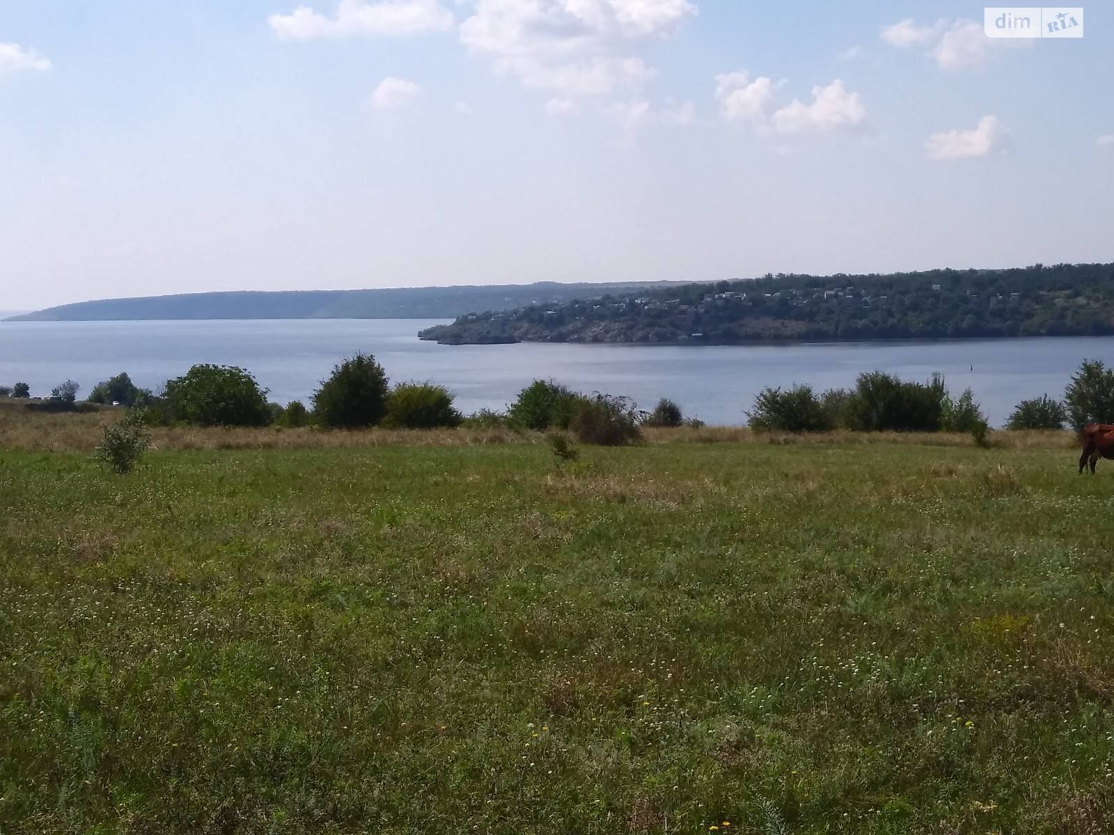 Земельна ділянка під житлову забудову в Перше Травня, площа 12 соток фото 1