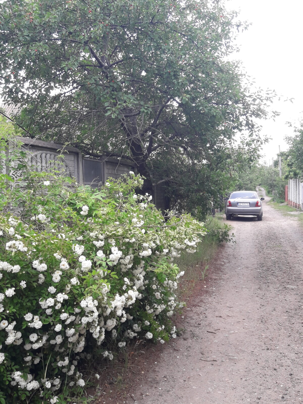 Земельный участок под жилую застройку в Песчанке, площадь 6 соток фото 1 Земельный участок под жилую застройку в Песчанке, площадь 6 соток фото 1