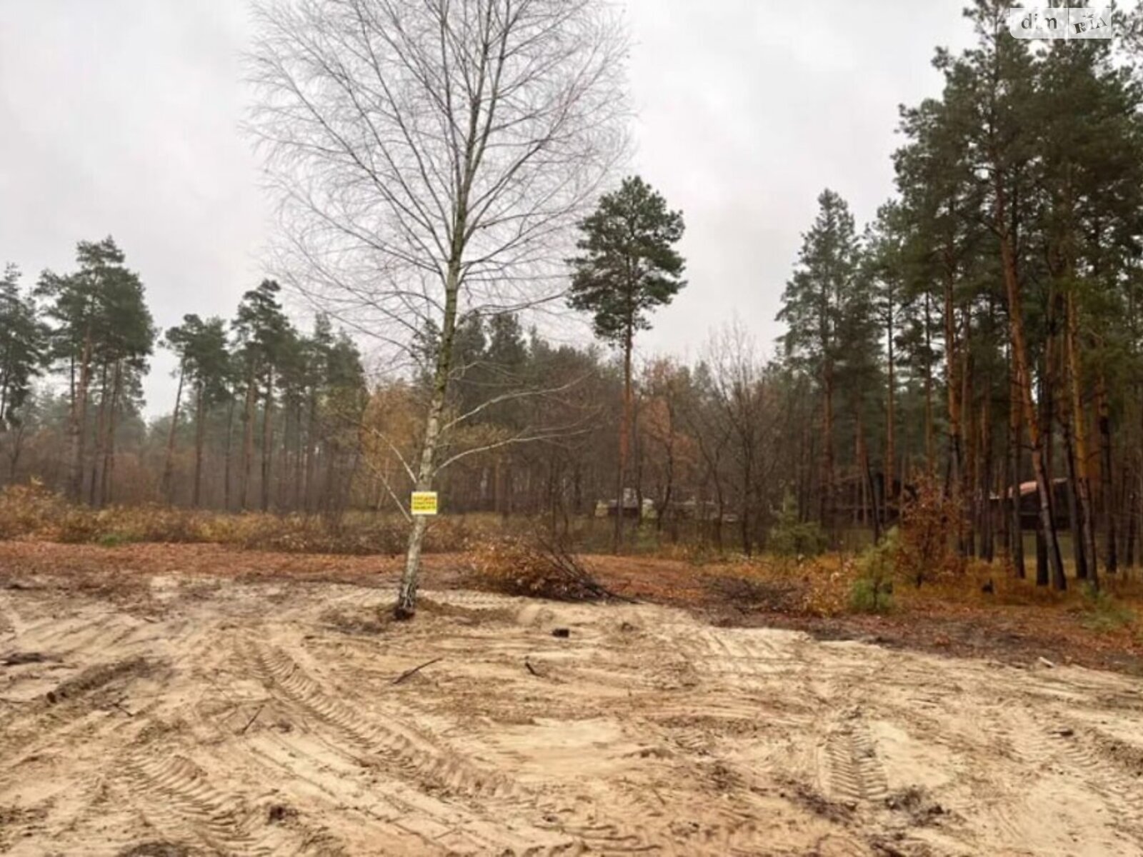 Земельна ділянка під житлову забудову в Піщанці, площа 0.25 Га фото 1