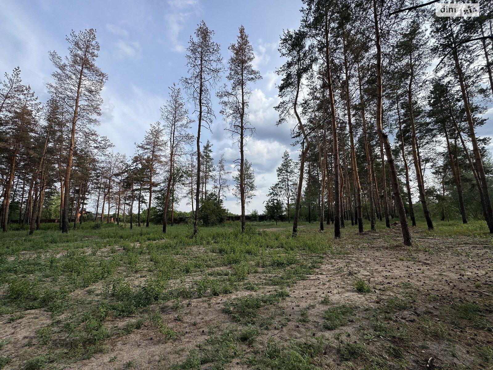 Земельный участок под жилую застройку в Песчанке, площадь 12.5 сотки фото 1 Земельный участок под жилую застройку в Песчанке, площадь 12.5 сотки фото 1