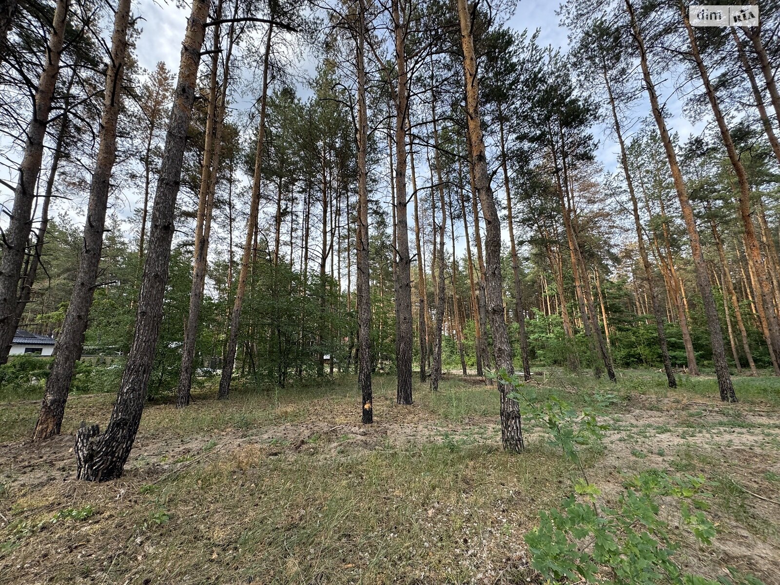 Земельный участок под жилую застройку в Песчанке, площадь 12.5 сотки фото 1 Земельный участок под жилую застройку в Песчанке, площадь 12.5 сотки фото 1