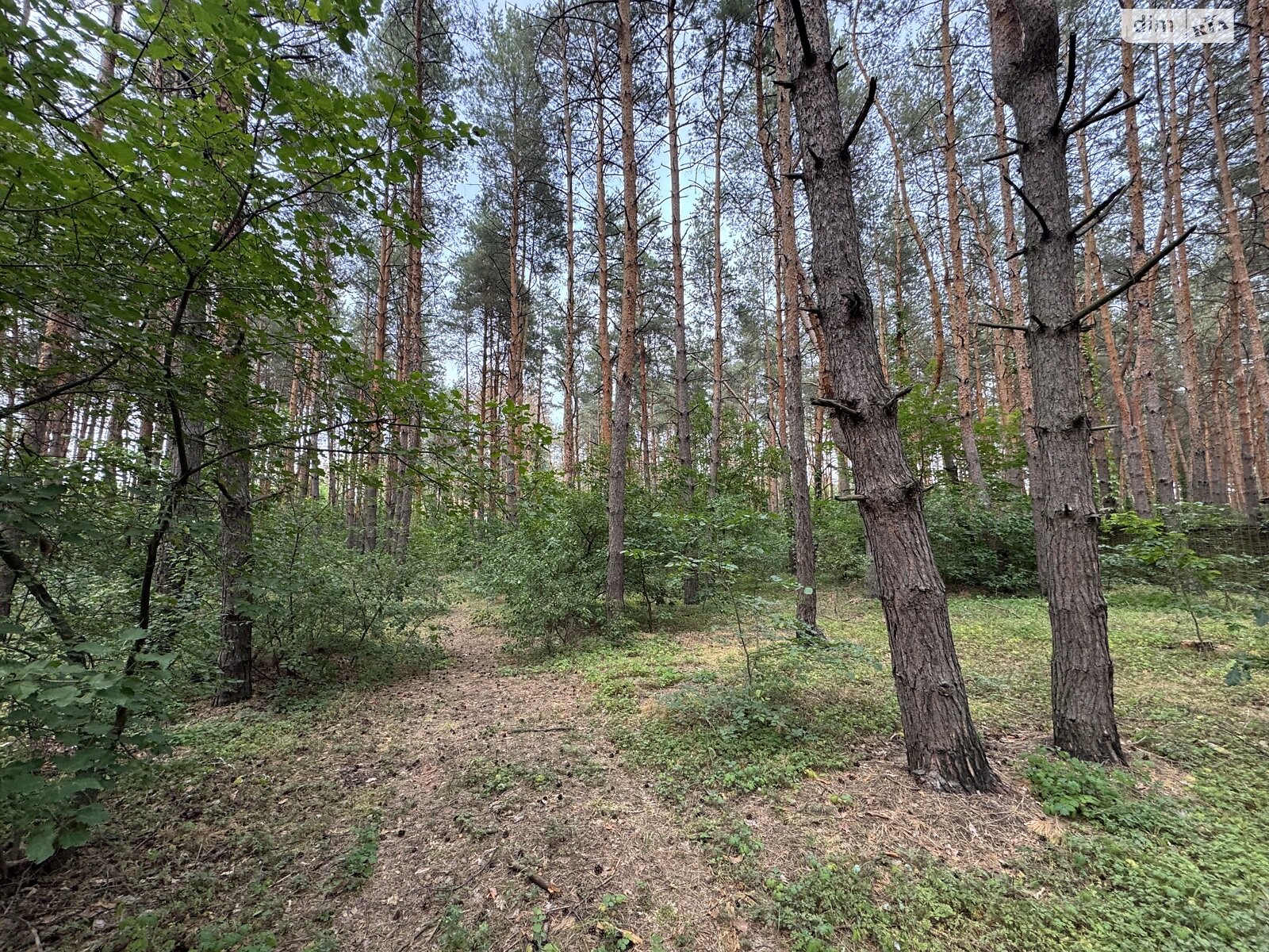 Земельный участок под жилую застройку в Песчанке, площадь 20 соток фото 1 Земельный участок под жилую застройку в Песчанке, площадь 20 соток фото 1