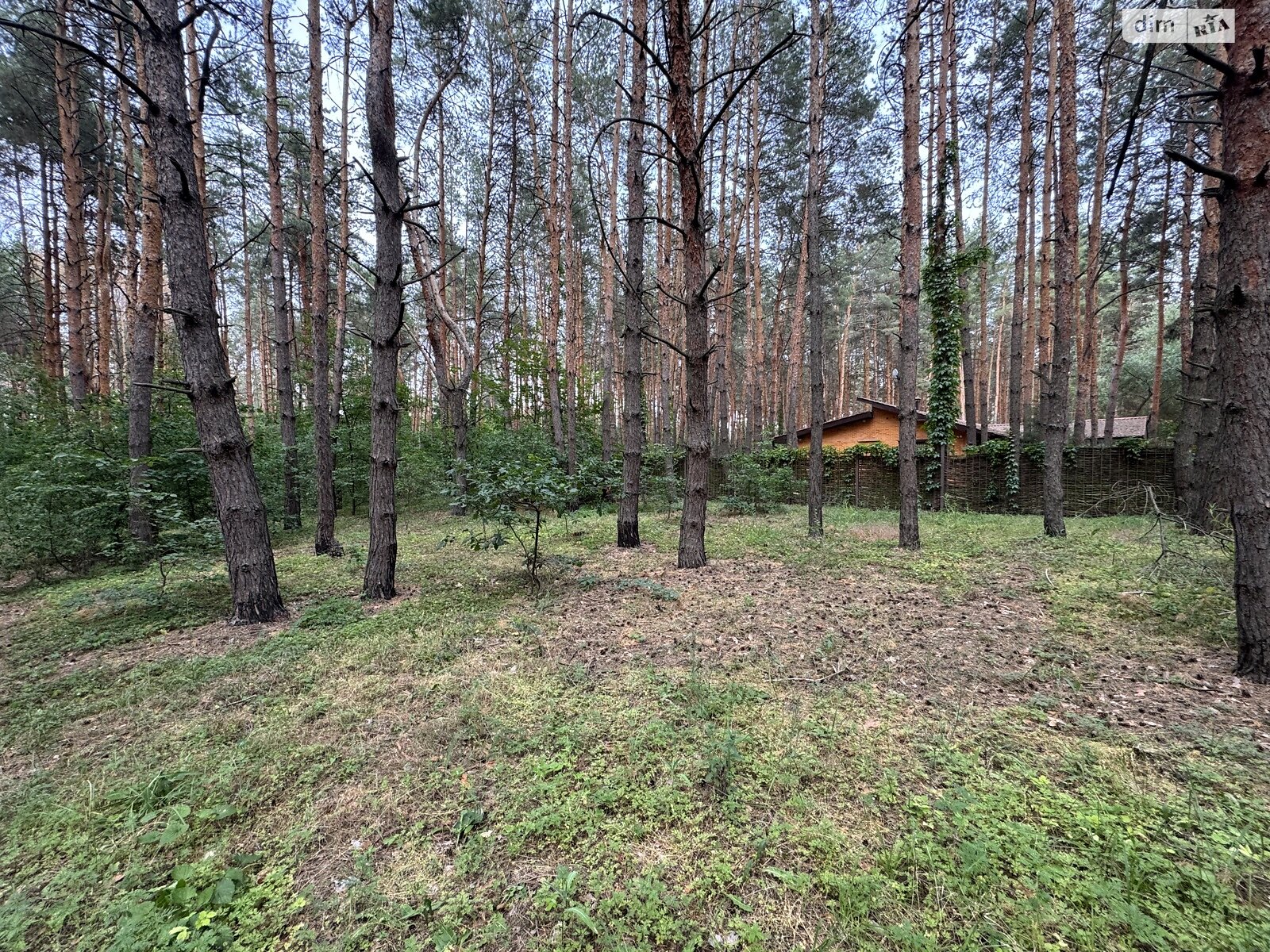 Земельный участок под жилую застройку в Песчанке, площадь 20 соток фото 1 Земельный участок под жилую застройку в Песчанке, площадь 20 соток фото 1
