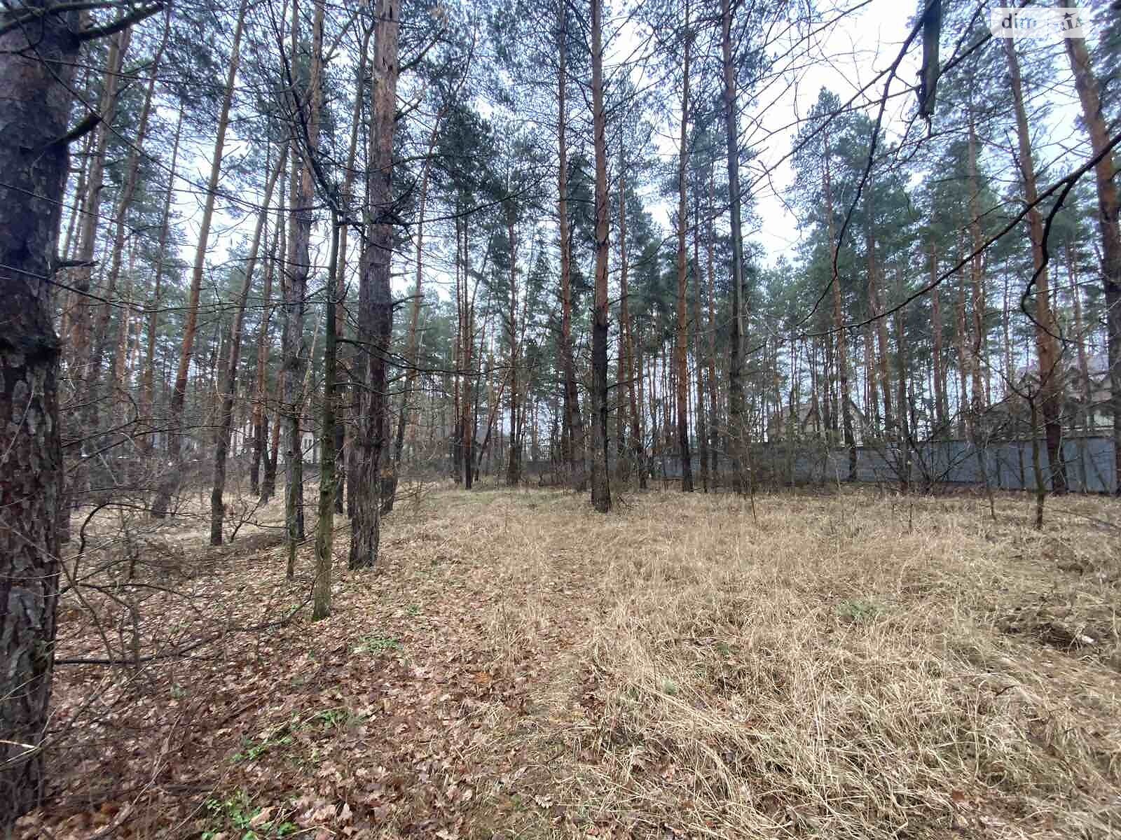 Земельна ділянка під житлову забудову в Піщанці, площа 6.4 сотки фото 1 Земельна ділянка під житлову забудову в Піщанці, площа 6.4 сотки фото 1