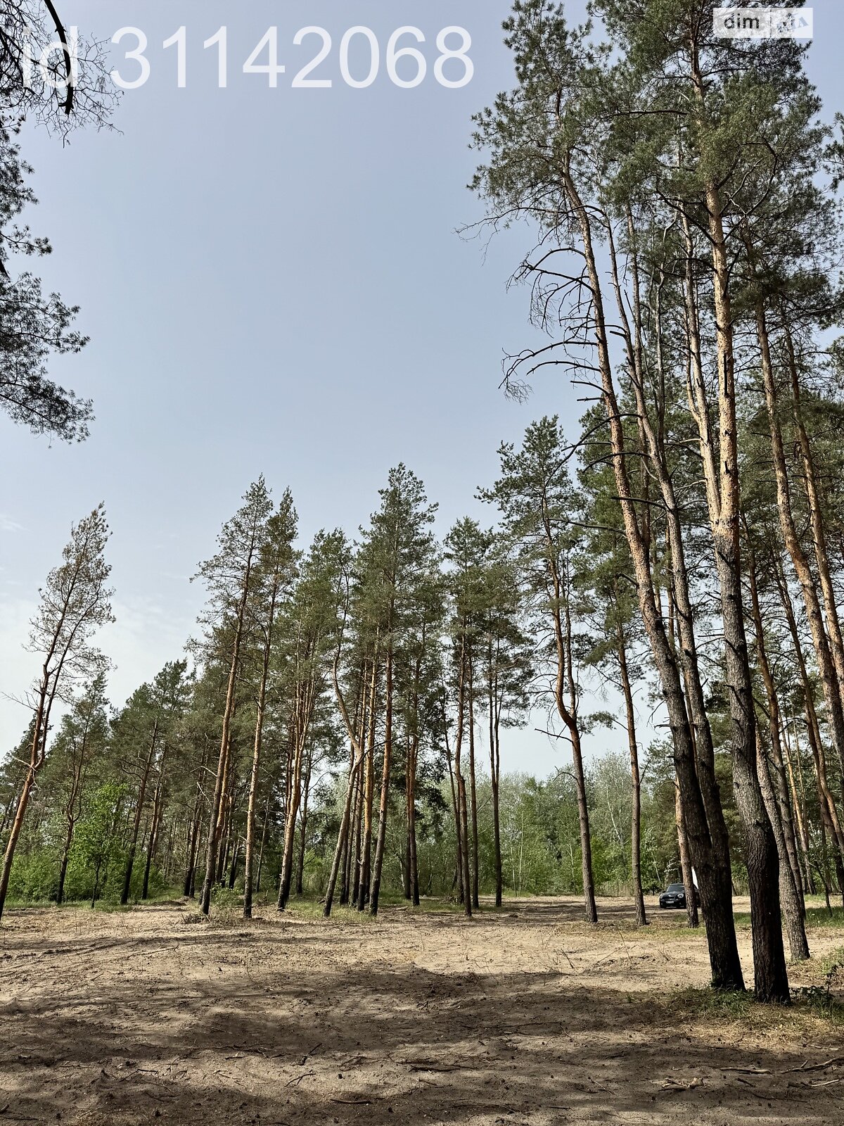 Земельный участок под жилую застройку в Песчанке, площадь 10 соток фото 1 Земельный участок под жилую застройку в Песчанке, площадь 10 соток фото 1
