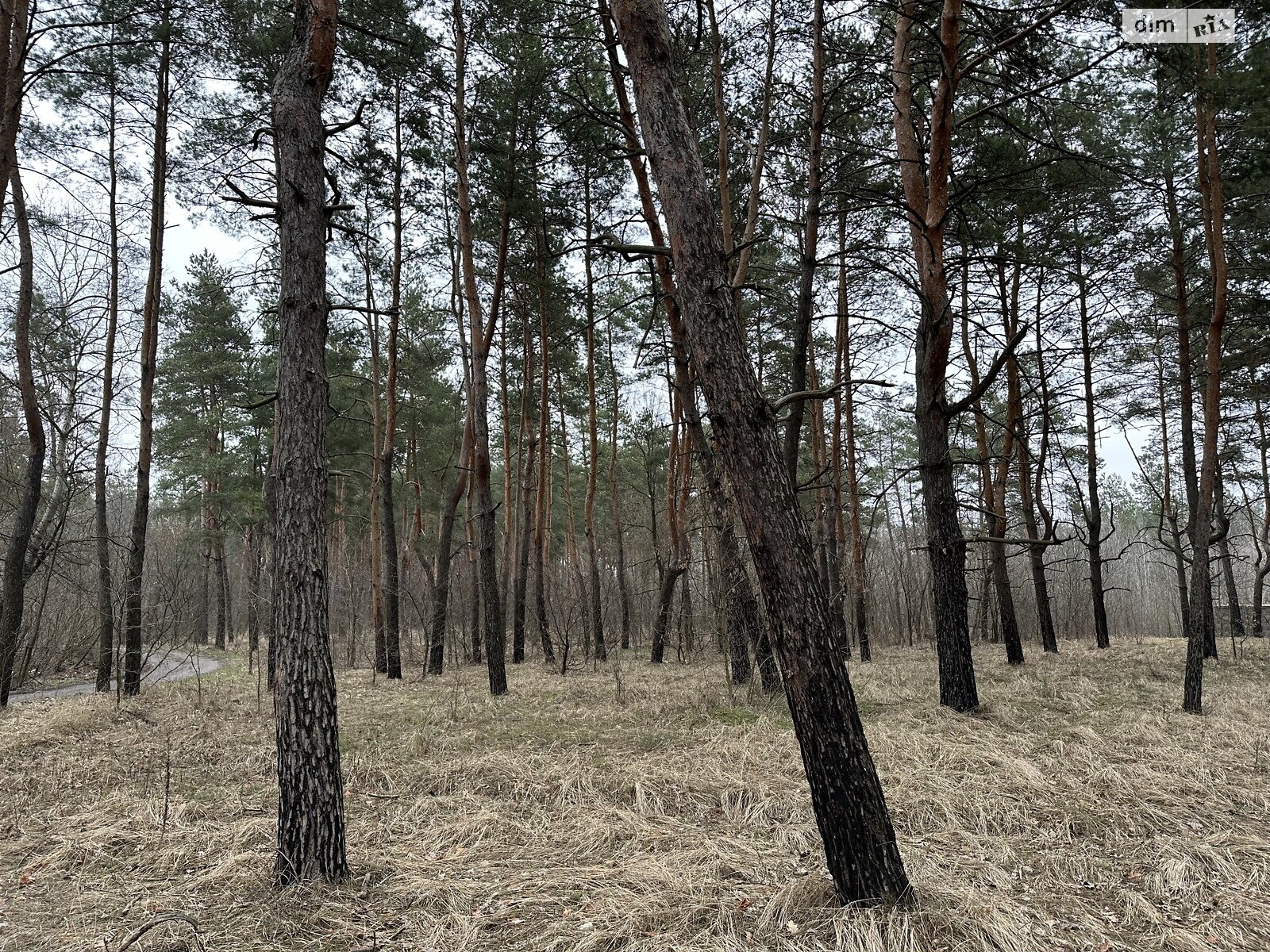 Земельный участок под жилую застройку в Песчанке, площадь 12 соток фото 1