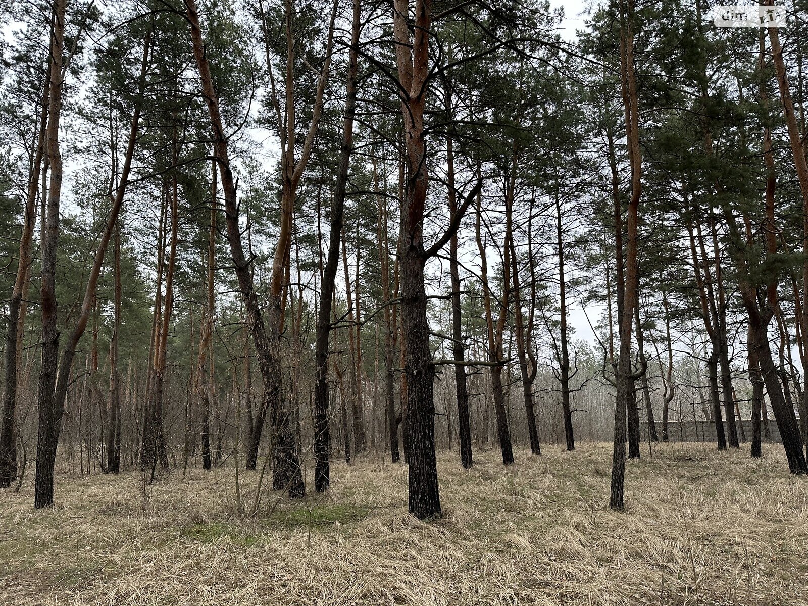 Земельный участок под жилую застройку в Песчанке, площадь 12 соток фото 1