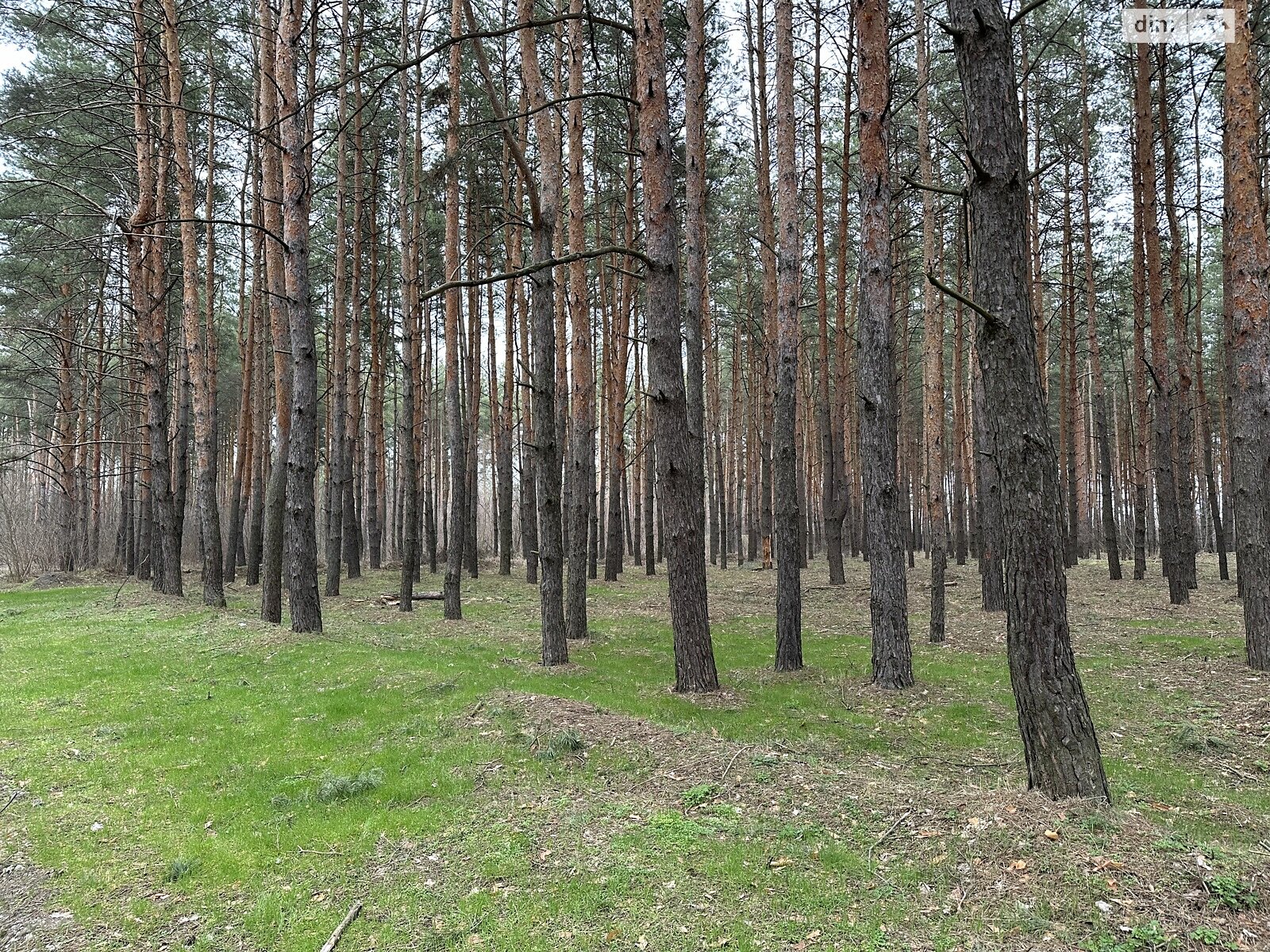 Земельный участок под жилую застройку в Песчанке, площадь 12 соток фото 1