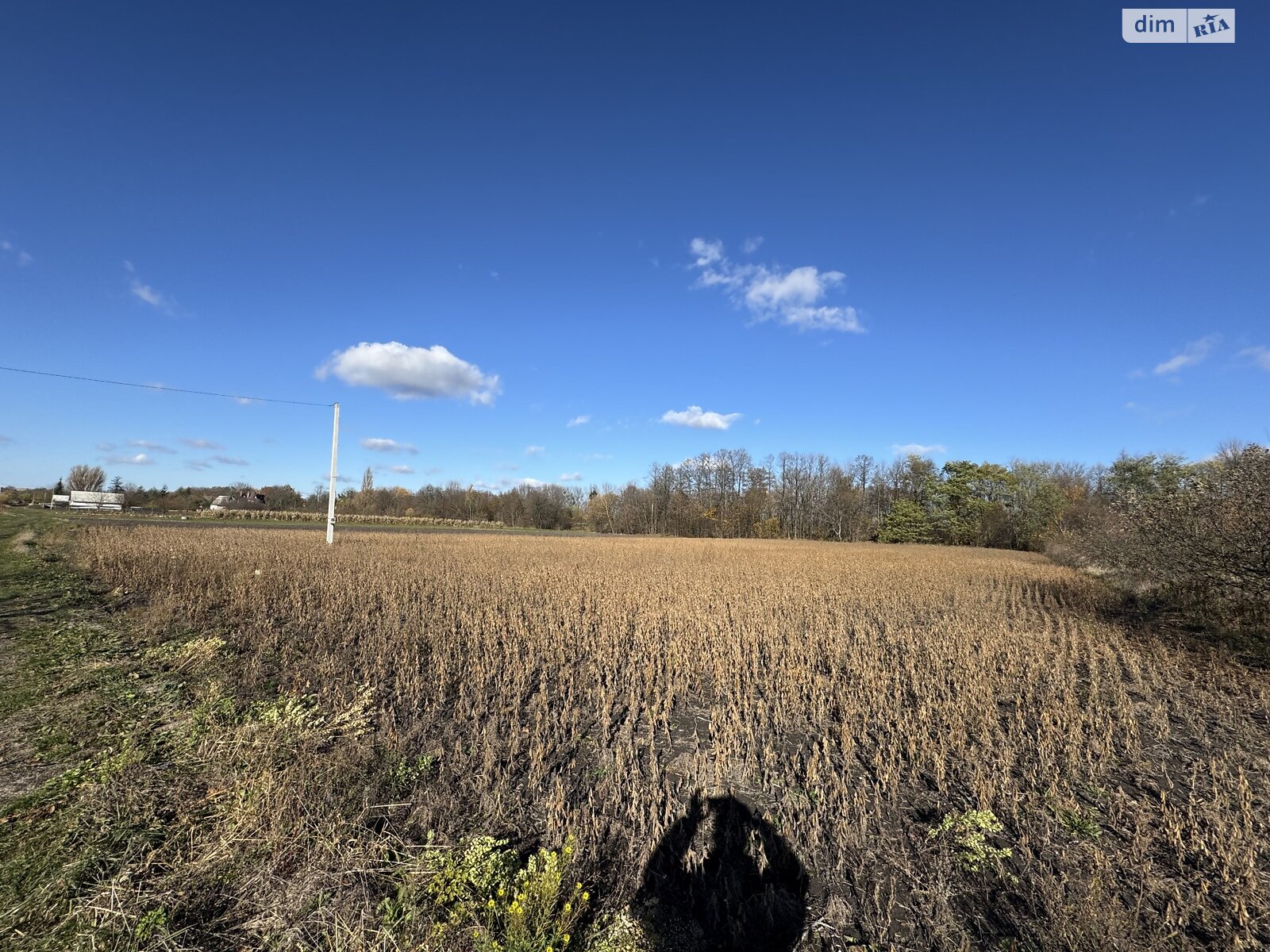 Земельный участок под жилую застройку в Петрике, площадь 25 соток фото 1 Земельный участок под жилую застройку в Петрике, площадь 25 соток фото 1