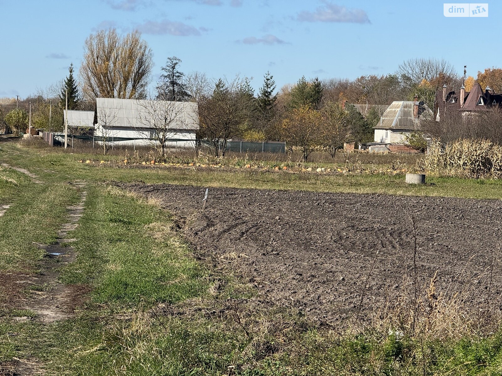 Земельный участок под жилую застройку в Петрике, площадь 25 соток фото 1 Земельный участок под жилую застройку в Петрике, площадь 25 соток фото 1