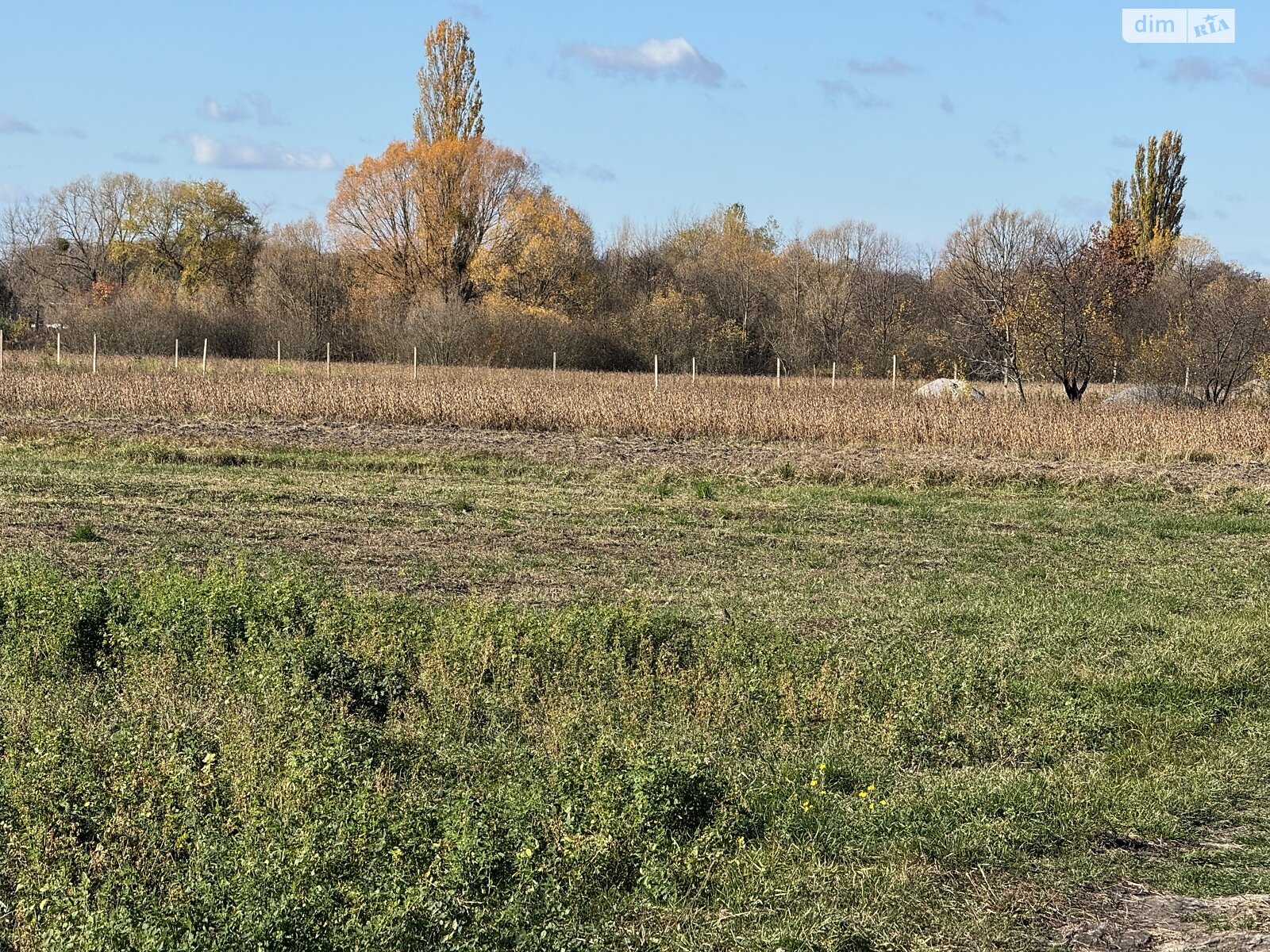 Земельный участок под жилую застройку в Петрике, площадь 25 соток фото 1 Земельный участок под жилую застройку в Петрике, площадь 25 соток фото 1