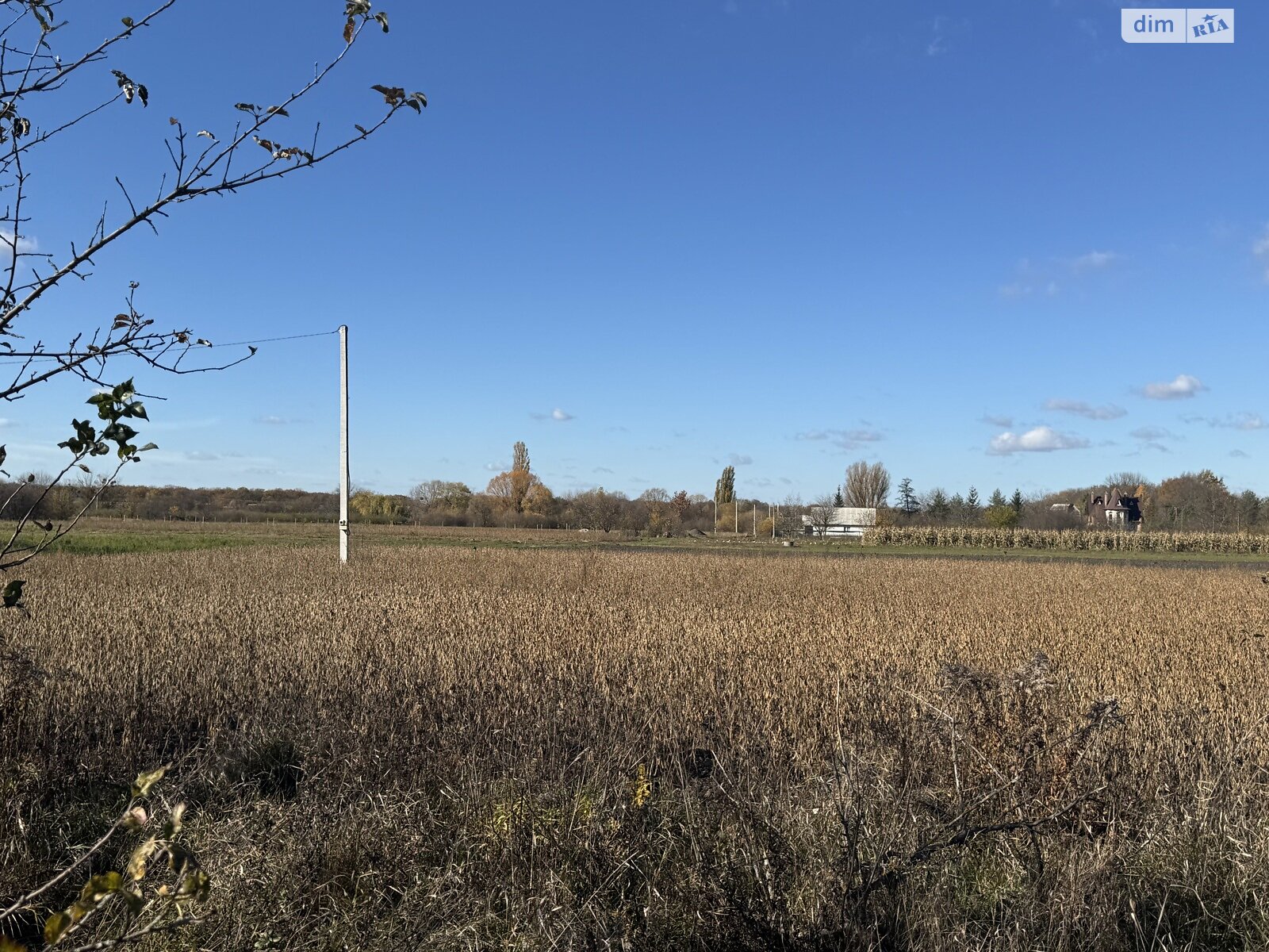 Земельный участок под жилую застройку в Петрике, площадь 25 соток фото 1 Земельный участок под жилую застройку в Петрике, площадь 25 соток фото 1