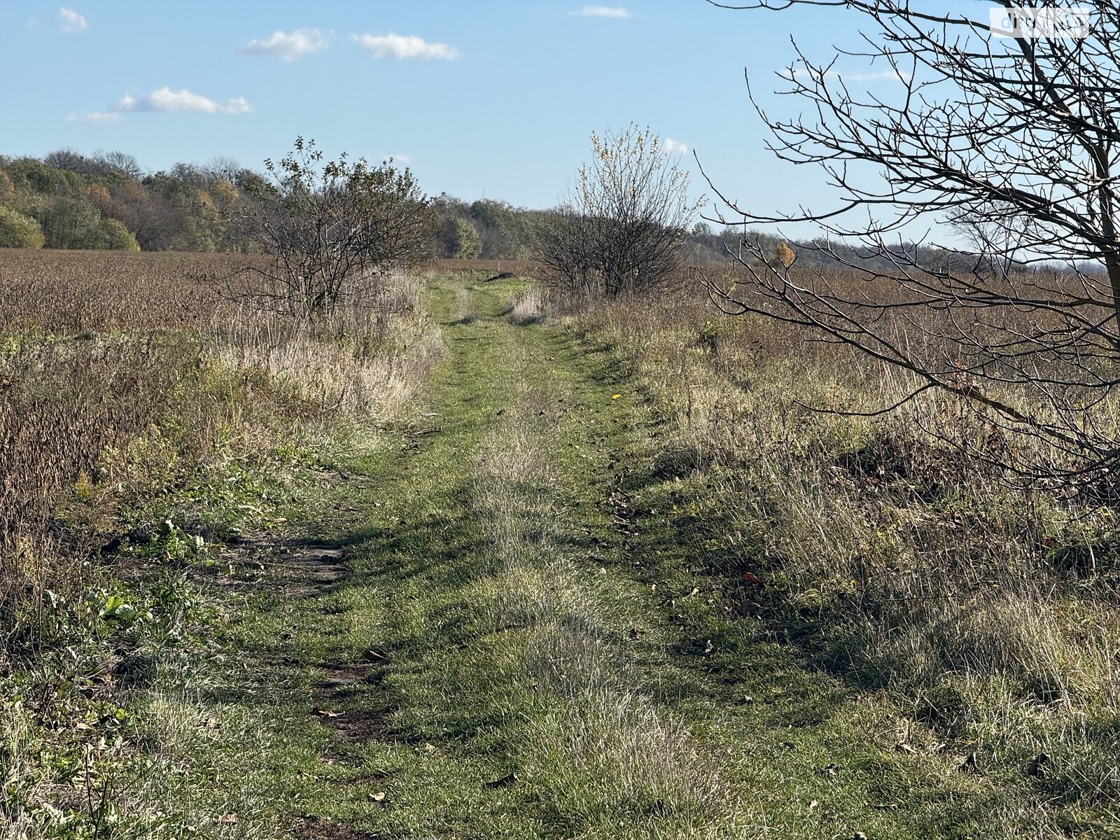 Земельный участок под жилую застройку в Петрике, площадь 25 соток фото 1 Земельный участок под жилую застройку в Петрике, площадь 25 соток фото 1