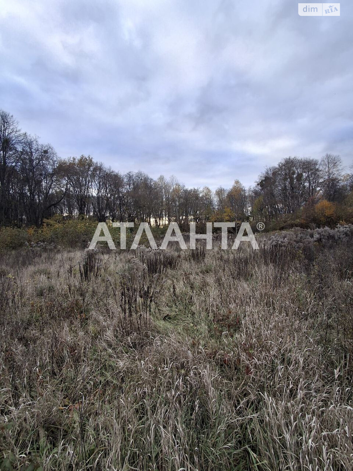 Земельный участок под жилую застройку в Петрике, площадь 27 соток фото 1 Земельный участок под жилую застройку в Петрике, площадь 27 соток фото 1