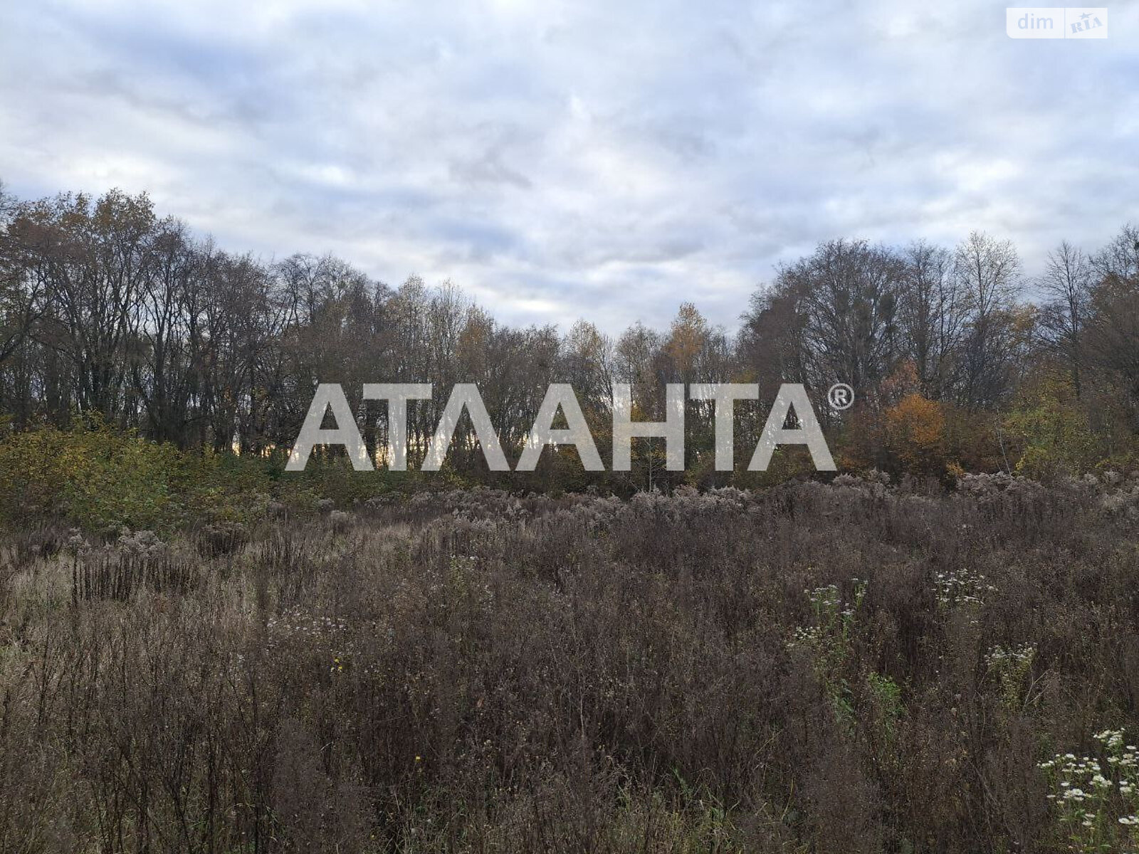 Земельный участок под жилую застройку в Петрике, площадь 27 соток фото 1 Земельный участок под жилую застройку в Петрике, площадь 27 соток фото 1