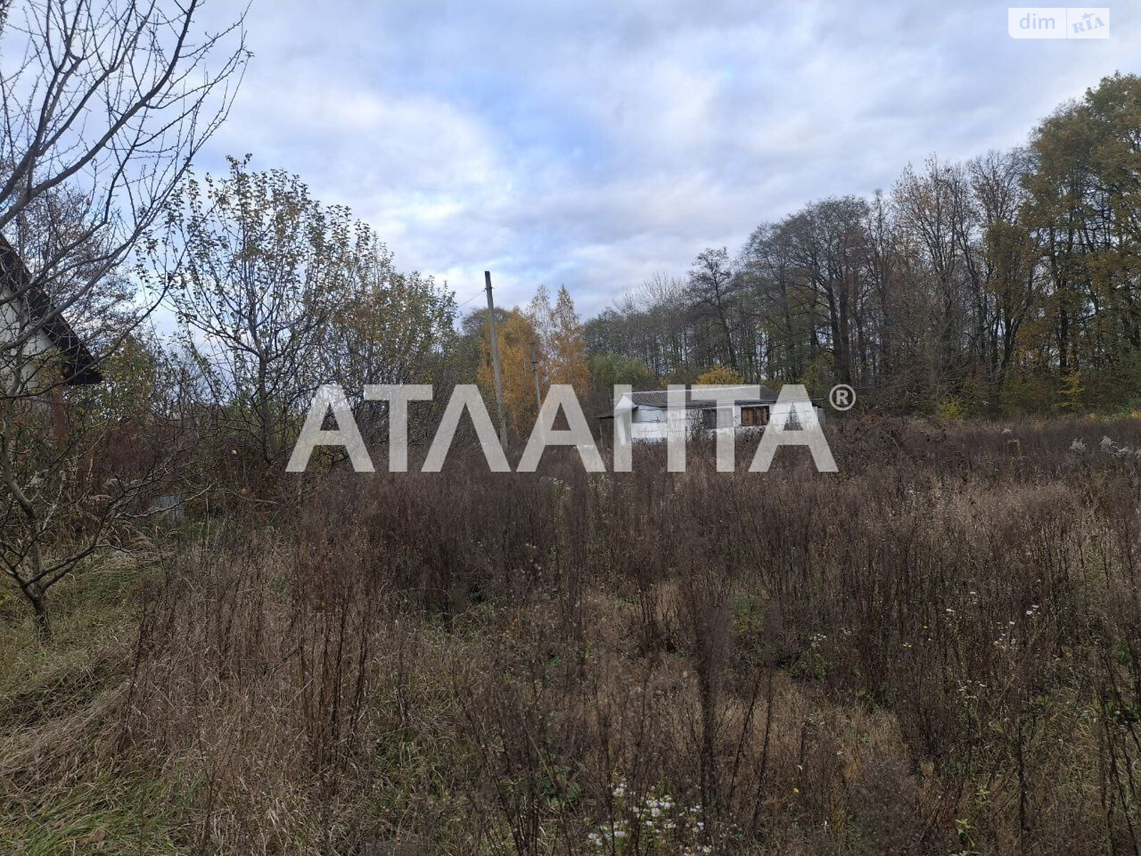 Земельный участок под жилую застройку в Петрике, площадь 27 соток фото 1 Земельный участок под жилую застройку в Петрике, площадь 27 соток фото 1