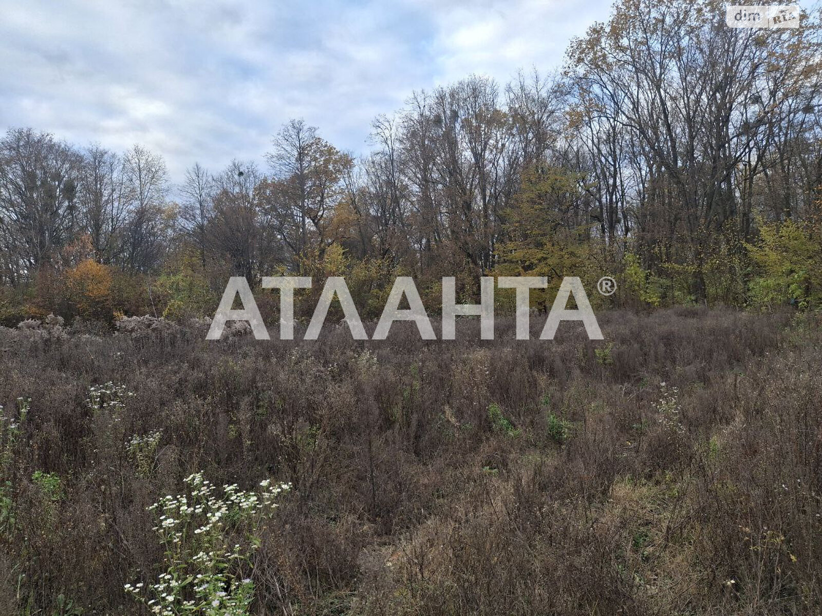 Земельный участок под жилую застройку в Петрике, площадь 27 соток фото 1 Земельный участок под жилую застройку в Петрике, площадь 27 соток фото 1