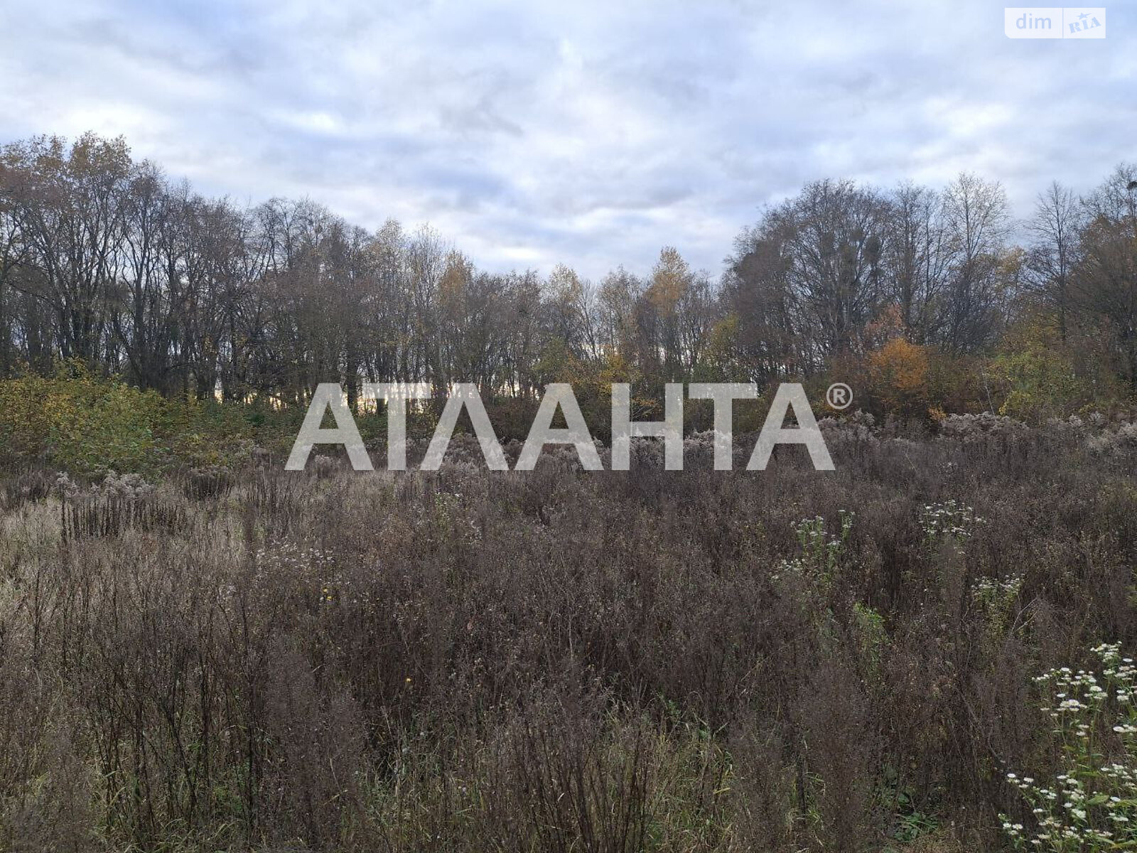 Земельный участок под жилую застройку в Петрике, площадь 27 соток фото 1 Земельный участок под жилую застройку в Петрике, площадь 27 соток фото 1