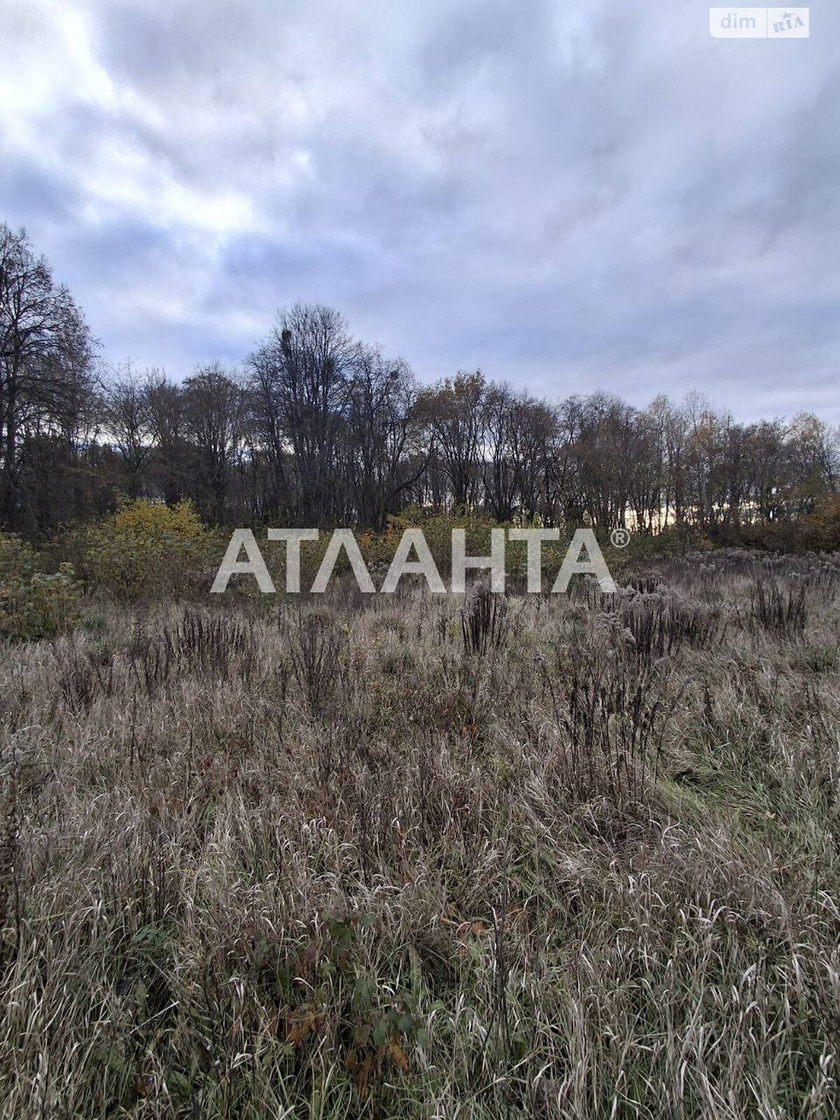 Земельный участок под жилую застройку в Петрике, площадь 27 соток фото 1 Земельный участок под жилую застройку в Петрике, площадь 27 соток фото 1