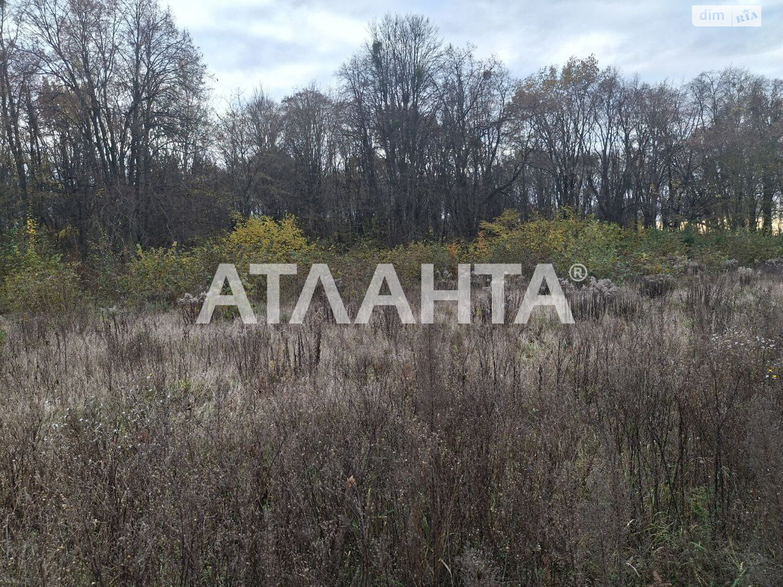 Земельный участок под жилую застройку в Петрике, площадь 27 соток фото 1 Земельный участок под жилую застройку в Петрике, площадь 27 соток фото 1