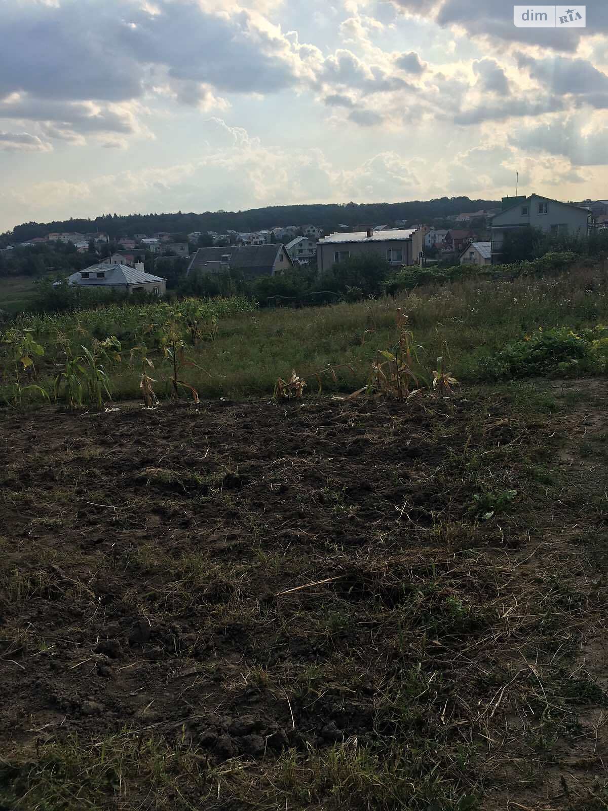 Земля під житлову забудову в Петрикові, площа 30 соток фото 1 Земля під житлову забудову в Петрикові, площа 30 соток фото 1