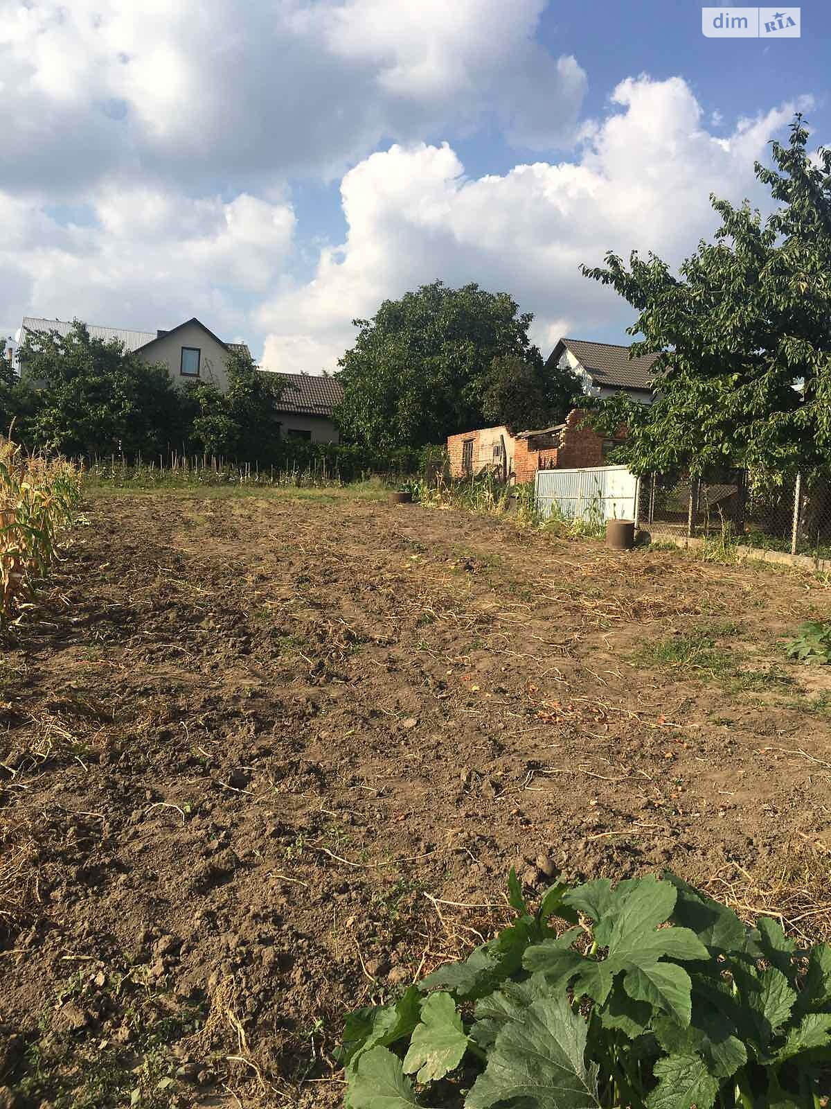 Земля під житлову забудову в Петрикові, площа 30 соток фото 1 Земля під житлову забудову в Петрикові, площа 30 соток фото 1