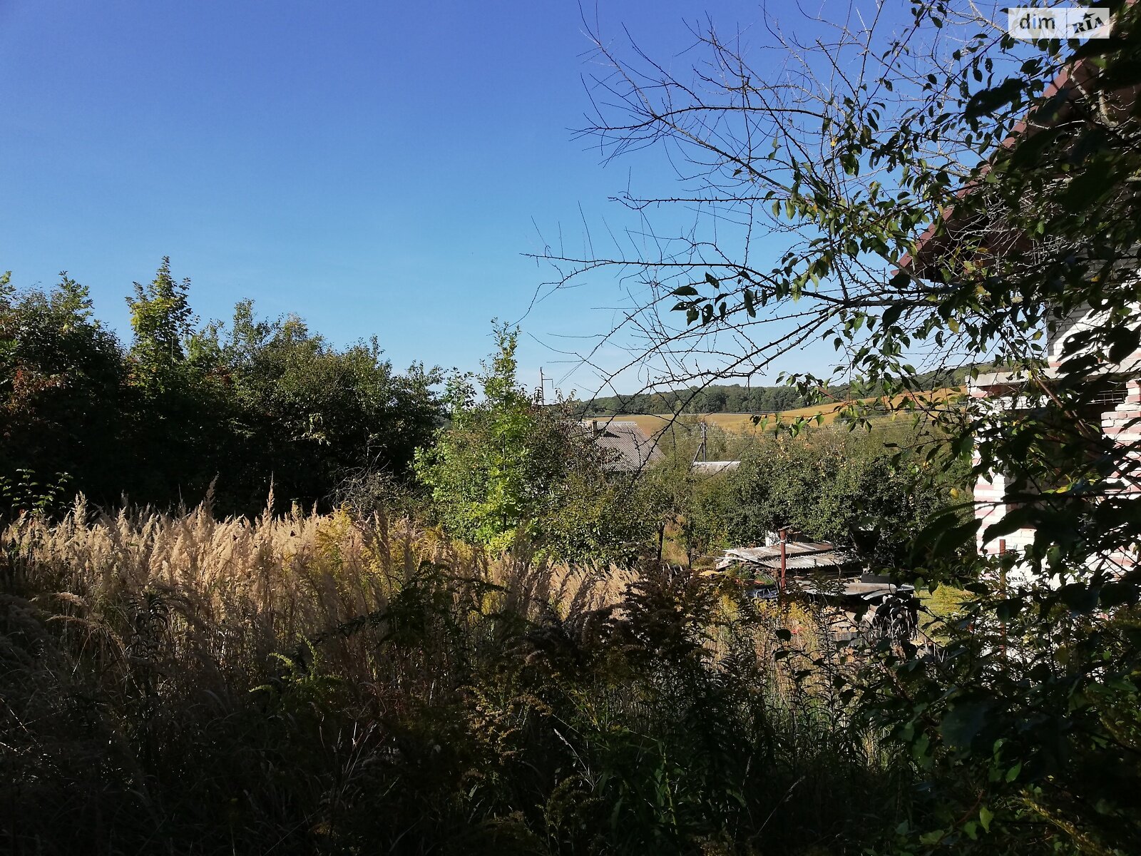 Земельный участок под жилую застройку в Петрикове, площадь 6 соток фото 1 Земельный участок под жилую застройку в Петрикове, площадь 6 соток фото 1