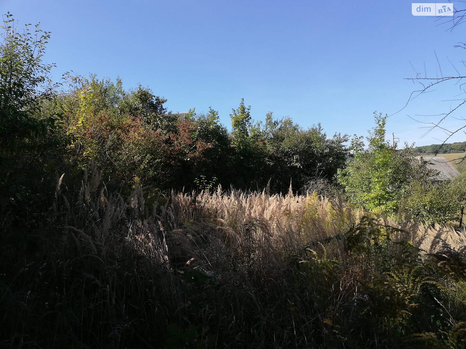 Земельный участок под жилую застройку в Петрикове, площадь 6 соток фото 1 Земельный участок под жилую застройку в Петрикове, площадь 6 соток фото 1