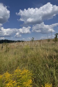 Земельна ділянка під житлову забудову в Петропавлівській Борщагівці, площа 8 соток фото 2