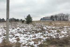 Земельна ділянка під житлову забудову в Музичах, площа 19.77 сотки фото 2