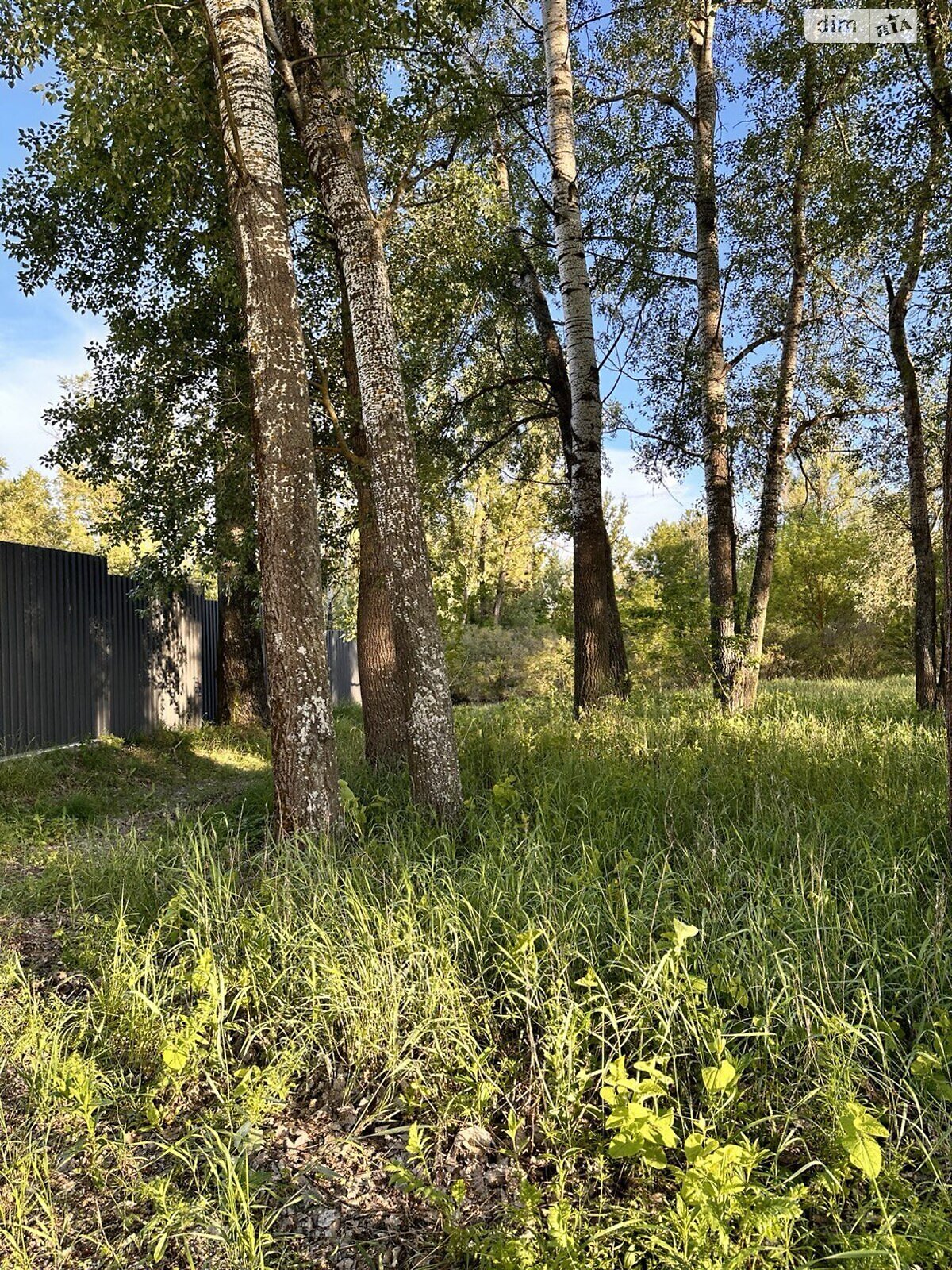 Земельна ділянка під житлову забудову в Петрівці, площа 100 соток фото 1 Земельна ділянка під житлову забудову в Петрівці, площа 100 соток фото 1