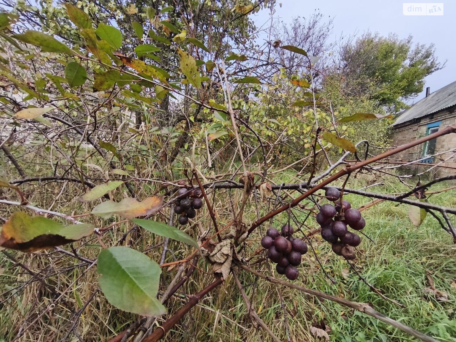 Земельный участок под жилую застройку в Пилиповичах, площадь 16.9 сотки фото 1