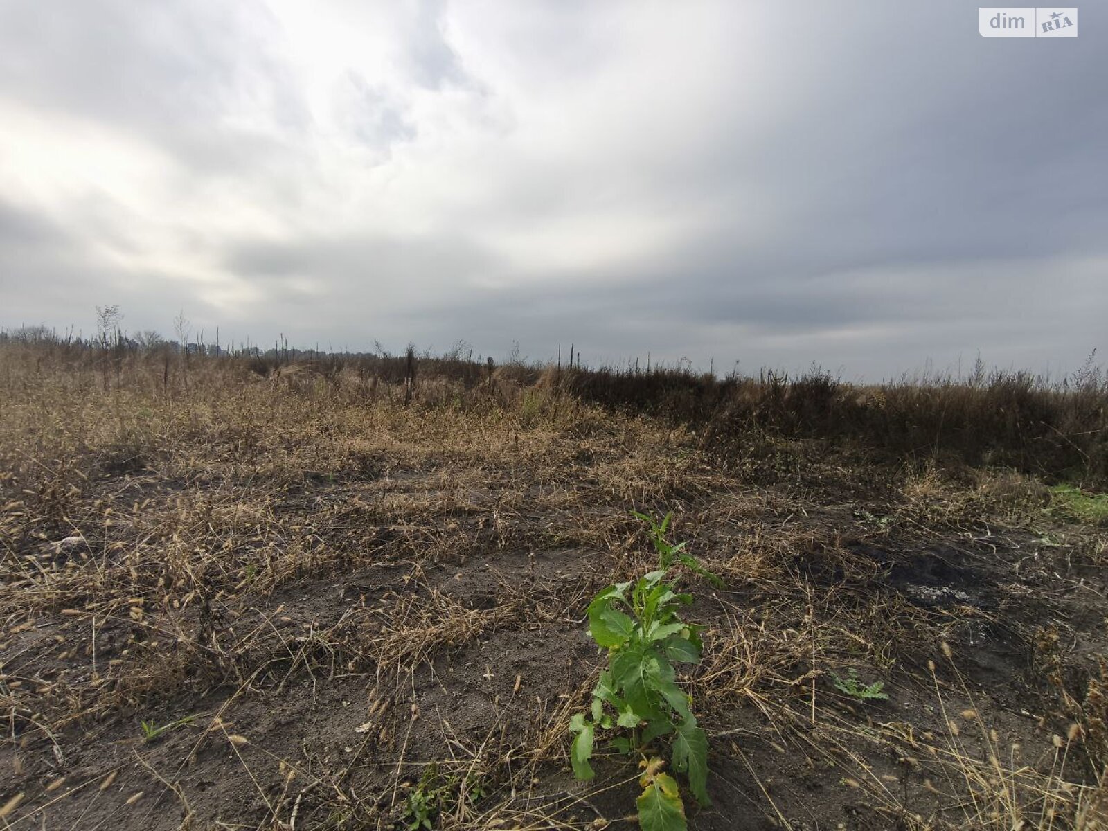Земельный участок под жилую застройку в Пилиповичах, площадь 16.9 сотки фото 1