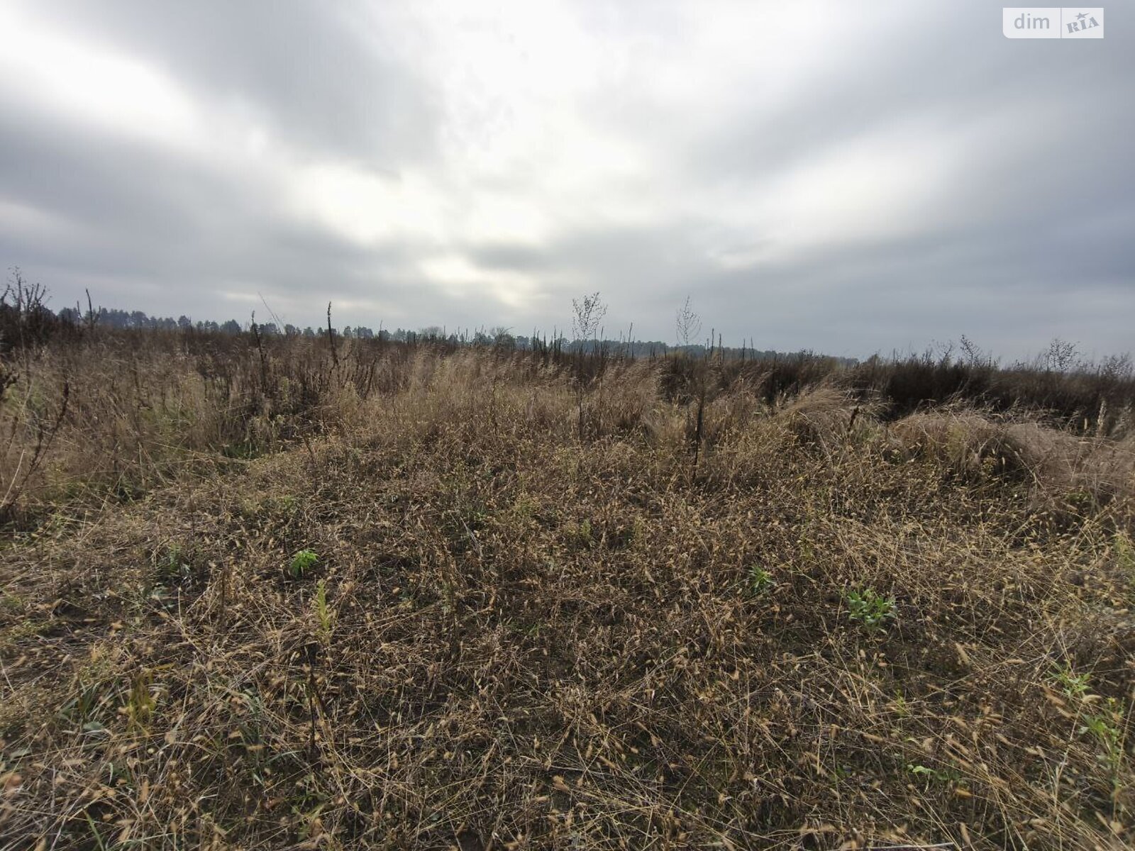 Земельный участок под жилую застройку в Пилиповичах, площадь 16.9 сотки фото 1