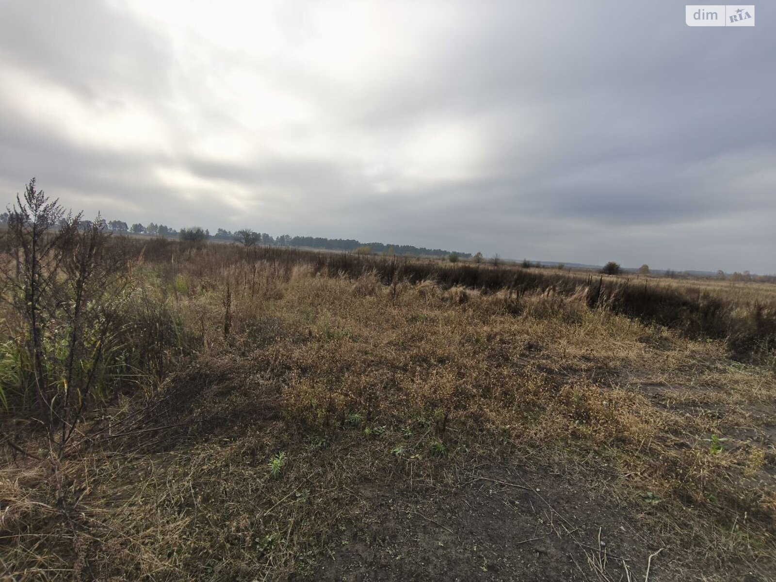 Земельный участок под жилую застройку в Пилиповичах, площадь 16.9 сотки фото 1