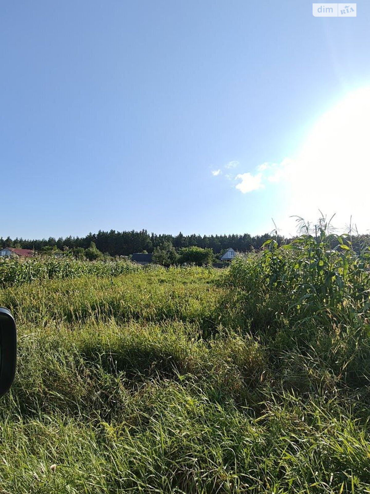 Земельна ділянка під житлову забудову в Пилиповичах, площа 9.29 сотки фото 1 Земельна ділянка під житлову забудову в Пилиповичах, площа 9.29 сотки фото 1