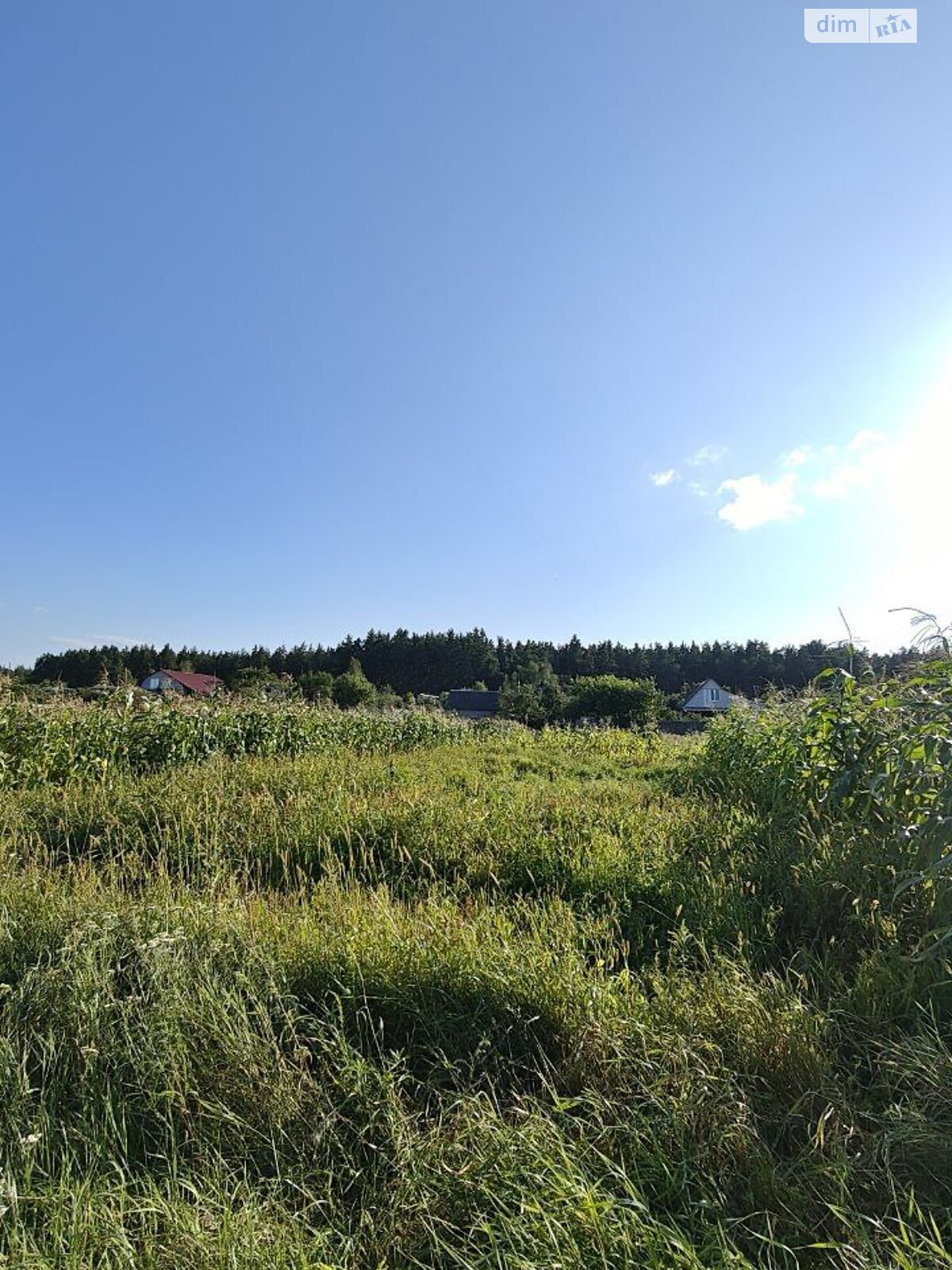 Земельный участок под жилую застройку в Пилиповичах, площадь 9.29 сотки фото 1 Земельный участок под жилую застройку в Пилиповичах, площадь 9.29 сотки фото 1